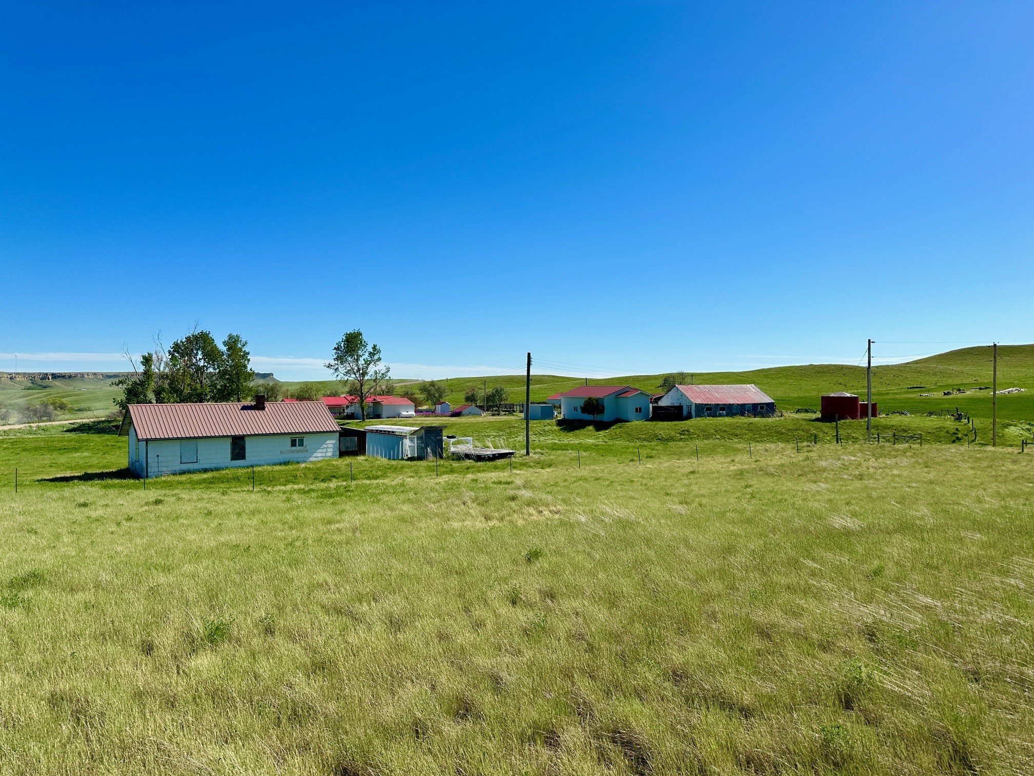 661 Dovetail Valentine Road Property Photo 178