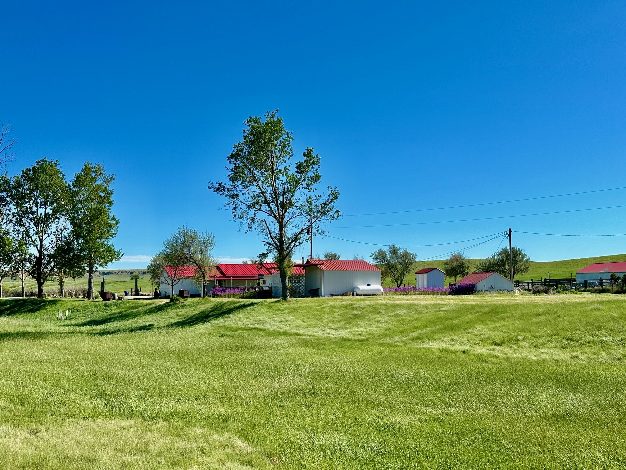 661 Dovetail Valentine Road Property Photo 181