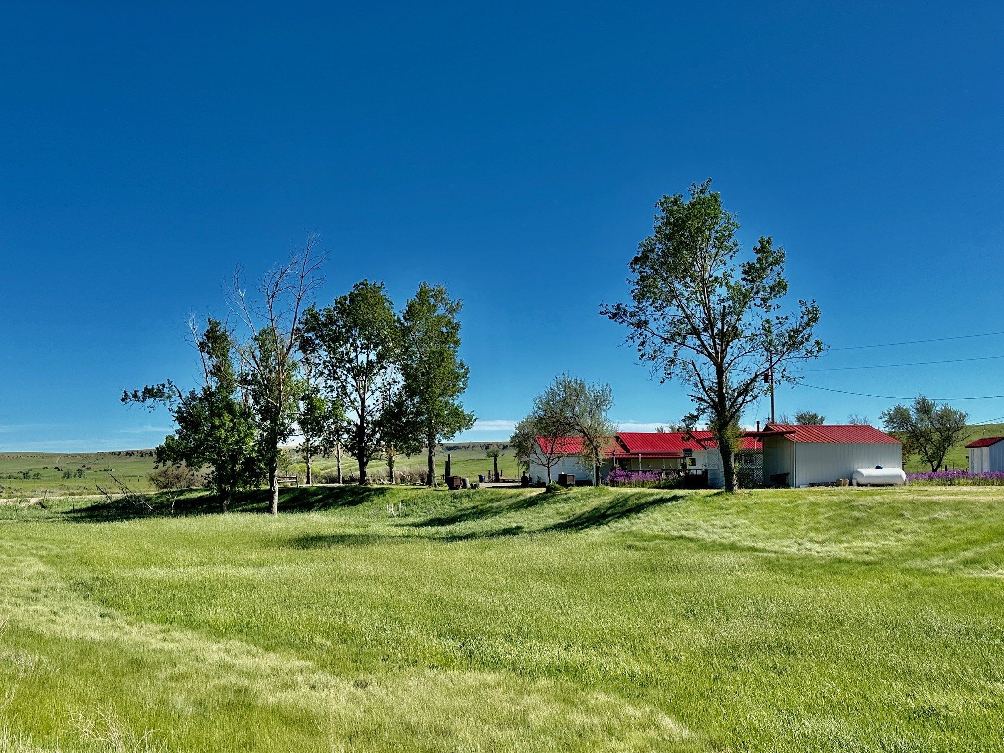 661 Dovetail Valentine Road Property Photo 182