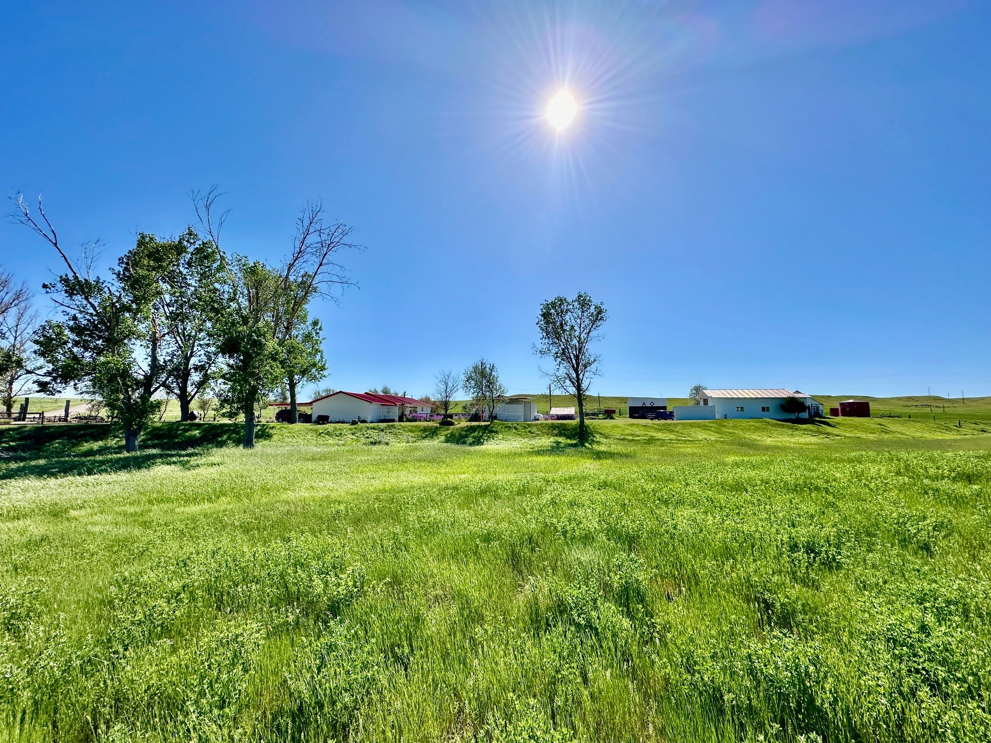 661 Dovetail Valentine Road Property Photo 185
