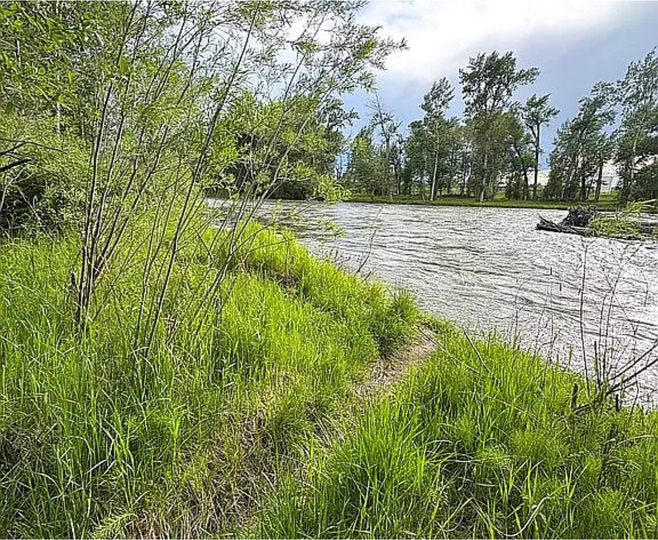 27901 Norris Road 89 Property Photo 22