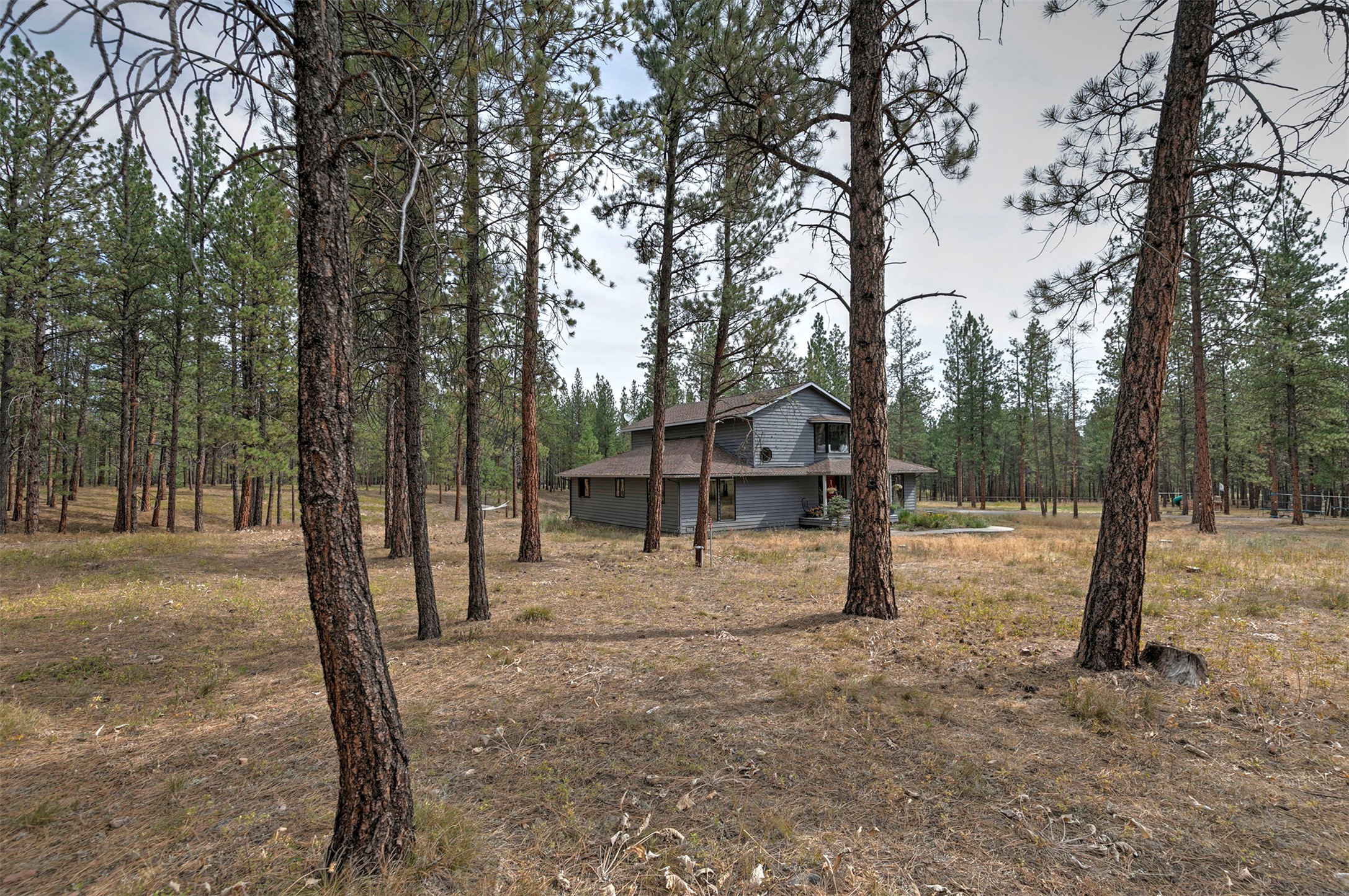 29100 Camp Run Road Property Photo 55