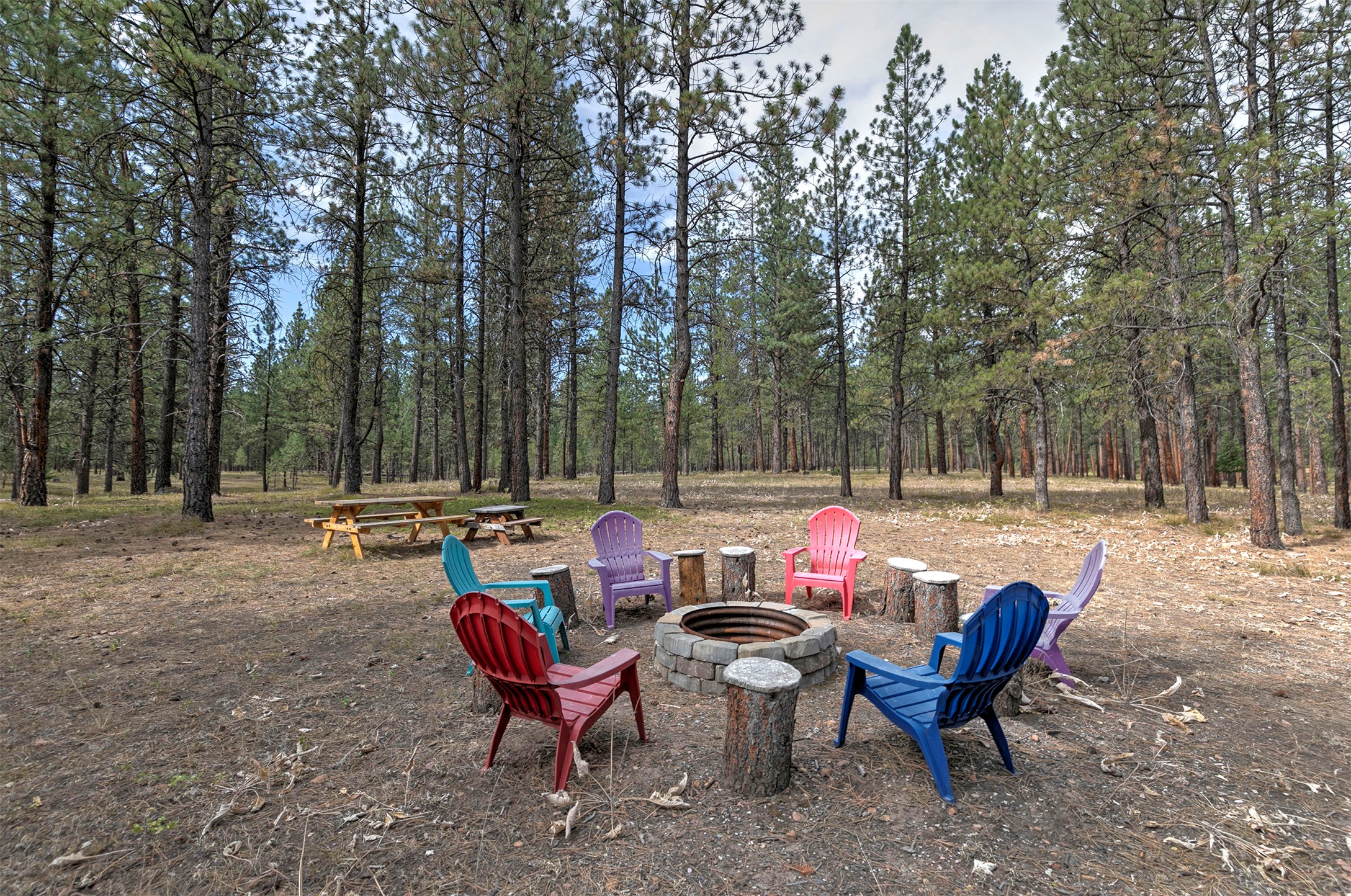 29100 Camp Run Road Property Photo 56