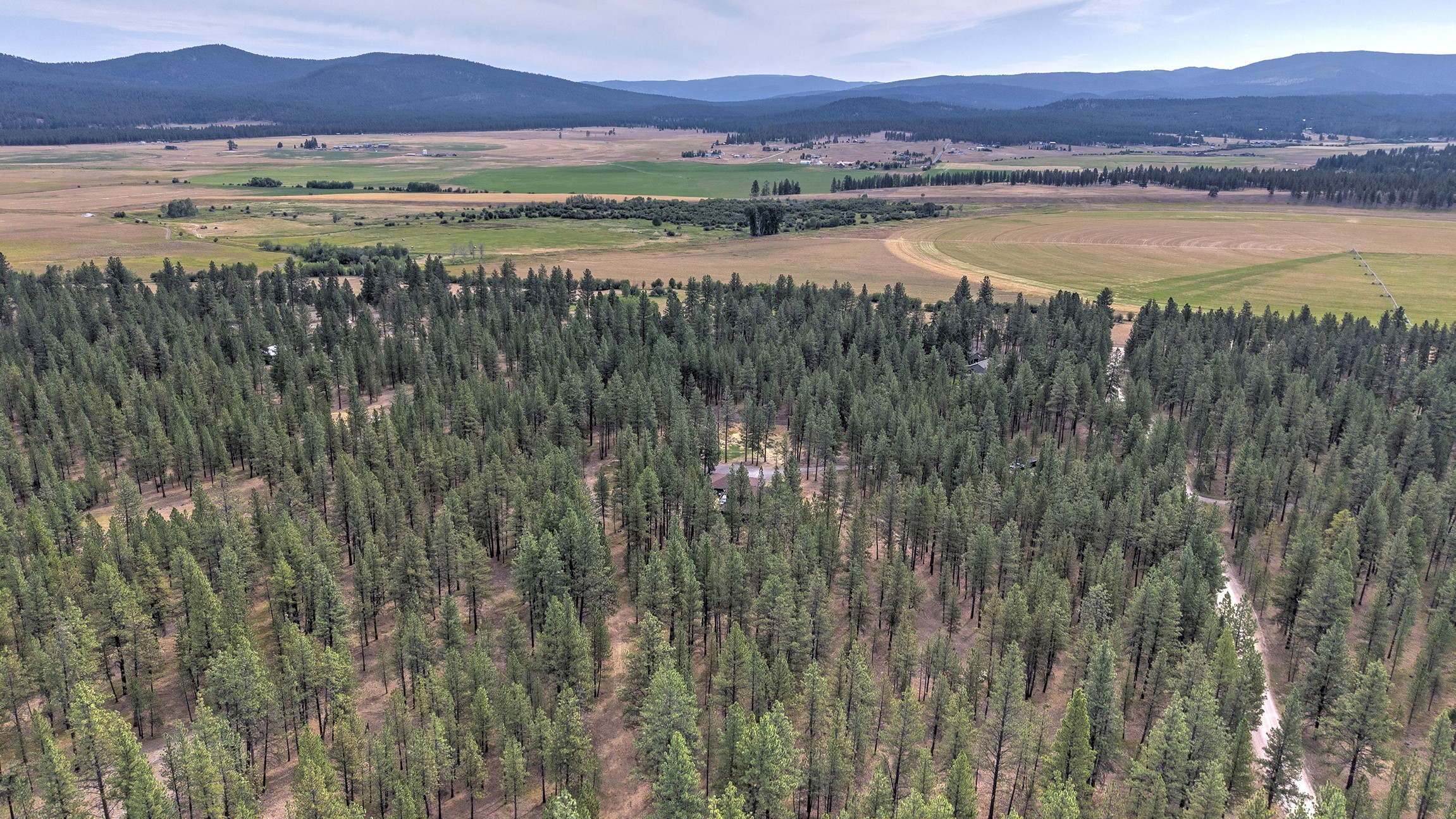 29100 Camp Run Road Property Photo 70