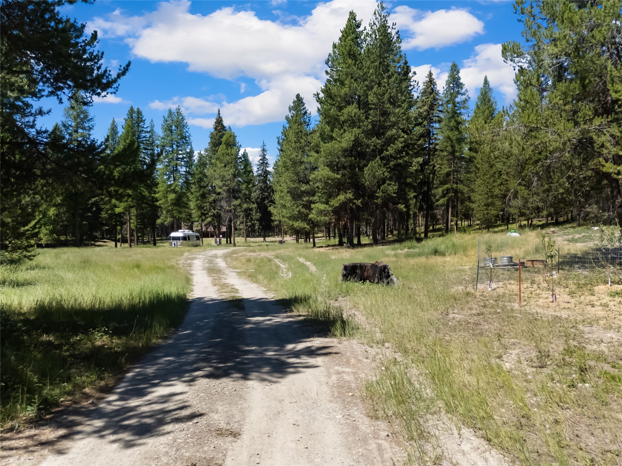 164 Hidden Prairie Road Property Photo 9