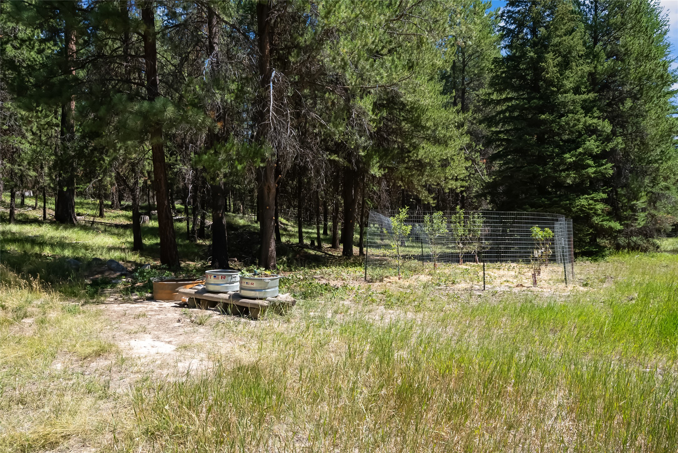 164 Hidden Prairie Road Property Photo 11