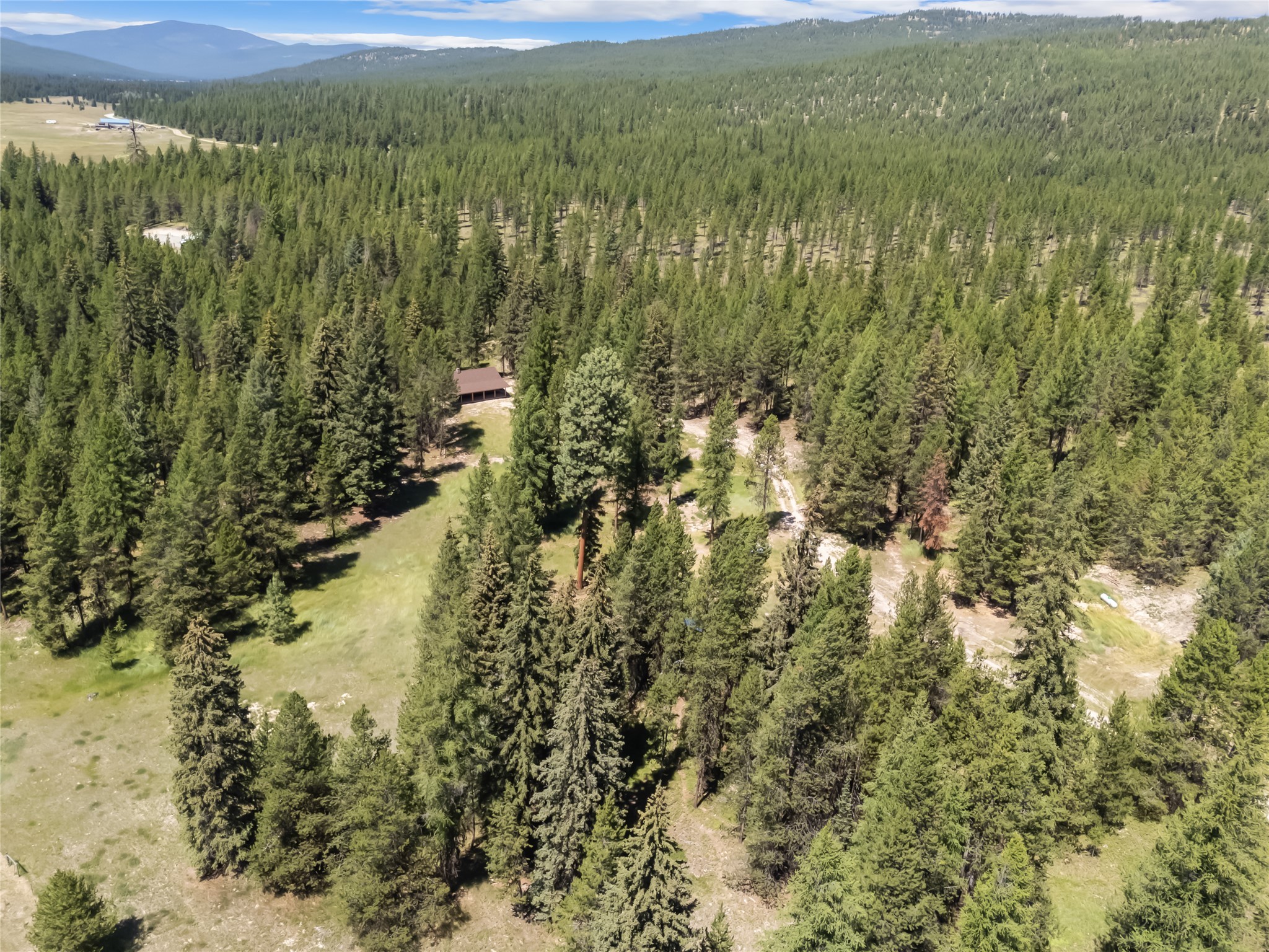 164 Hidden Prairie Road Property Photo 18