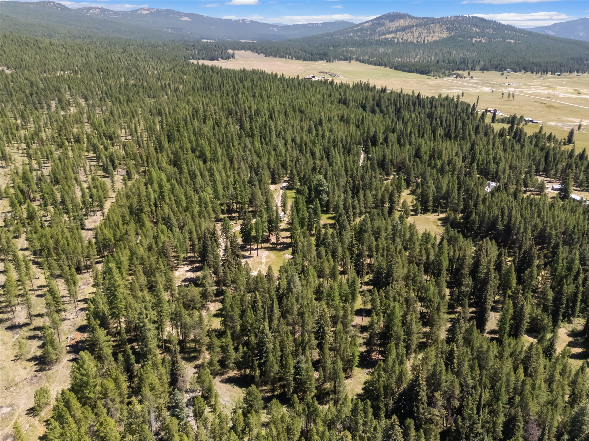 164 Hidden Prairie Road Property Photo 21