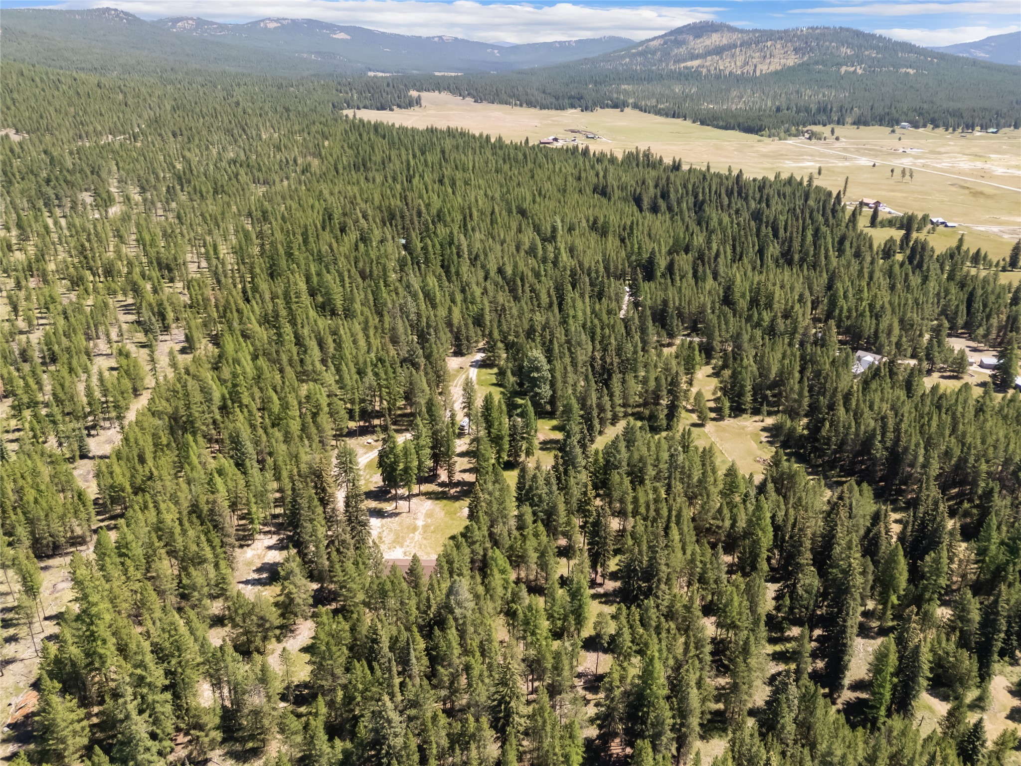 164 Hidden Prairie Road Property Photo 22