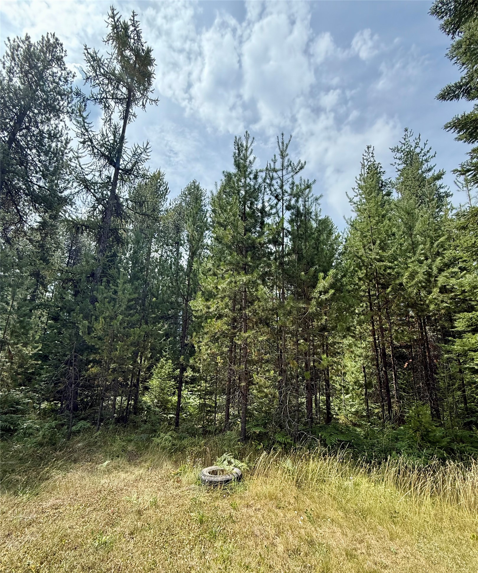 1234 Mt Hwy 200 Property Photo 55