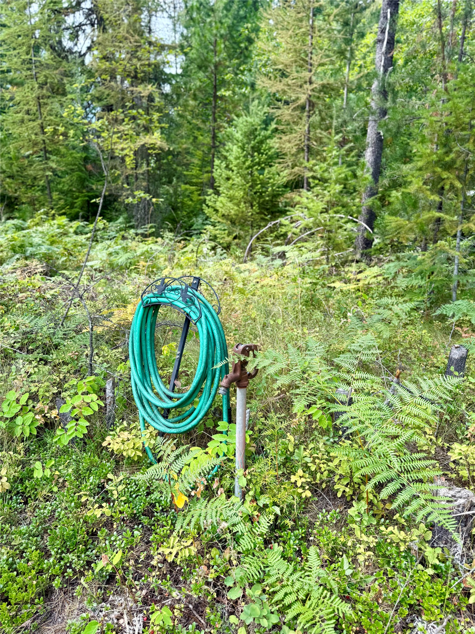 1234 Mt Hwy 200 Property Photo 57