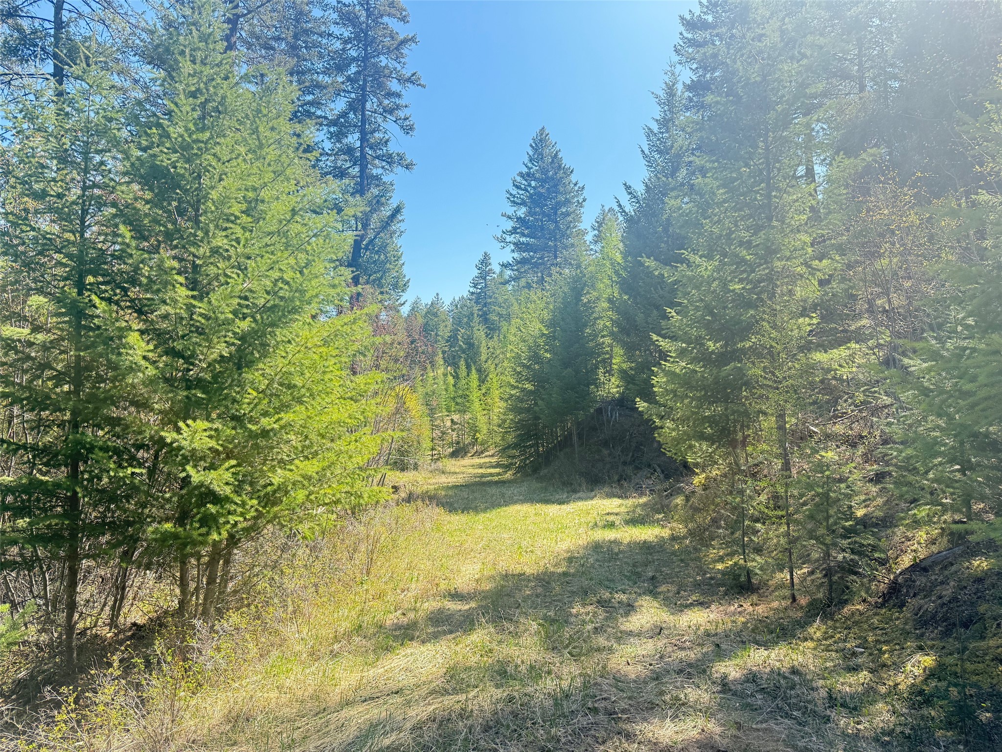 NHN Whitetail Ridge Road