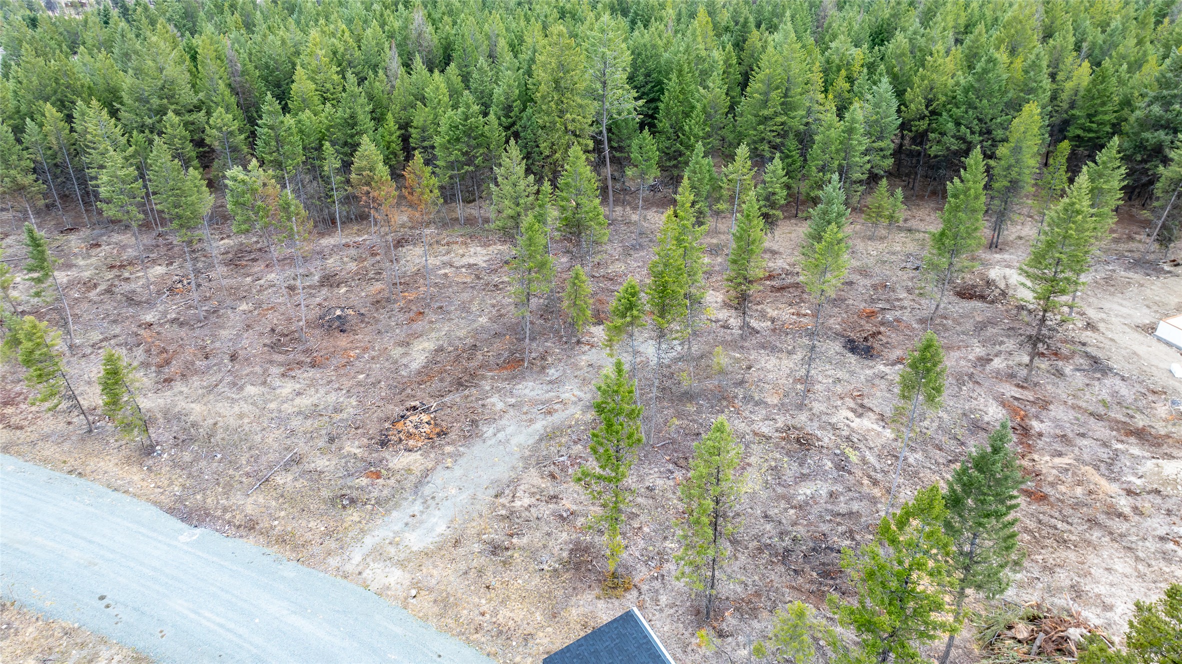Nhn Lot #33 Osprey Loop Property Photo 2