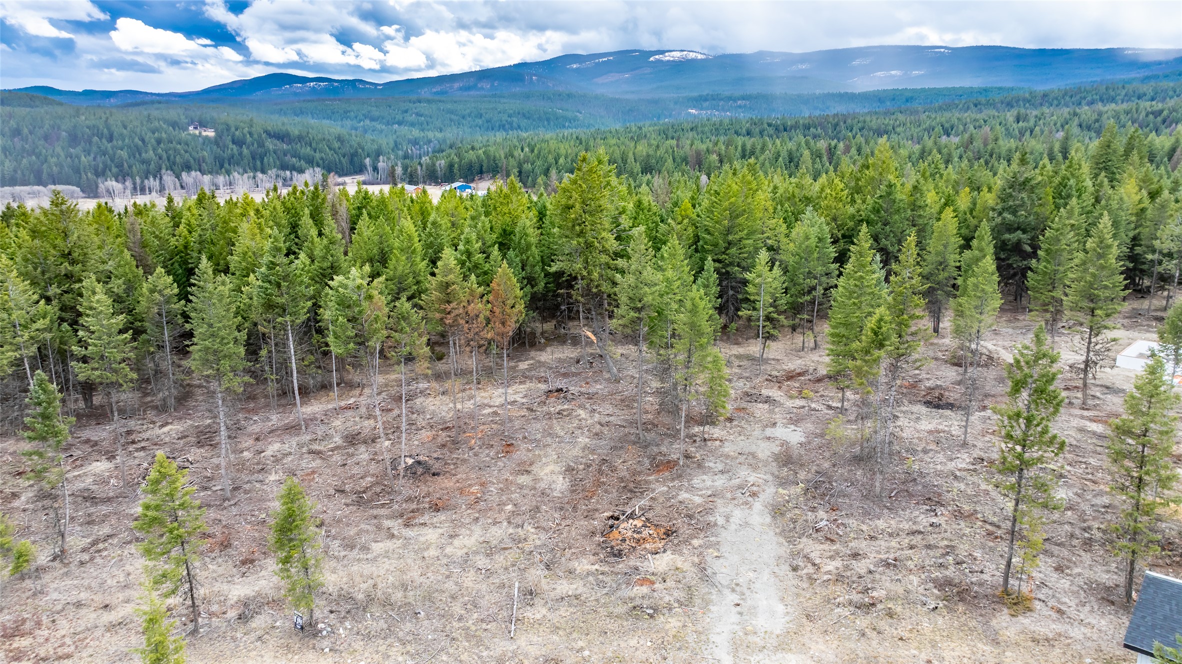 Nhn Lot #33 Osprey Loop Property Photo 3