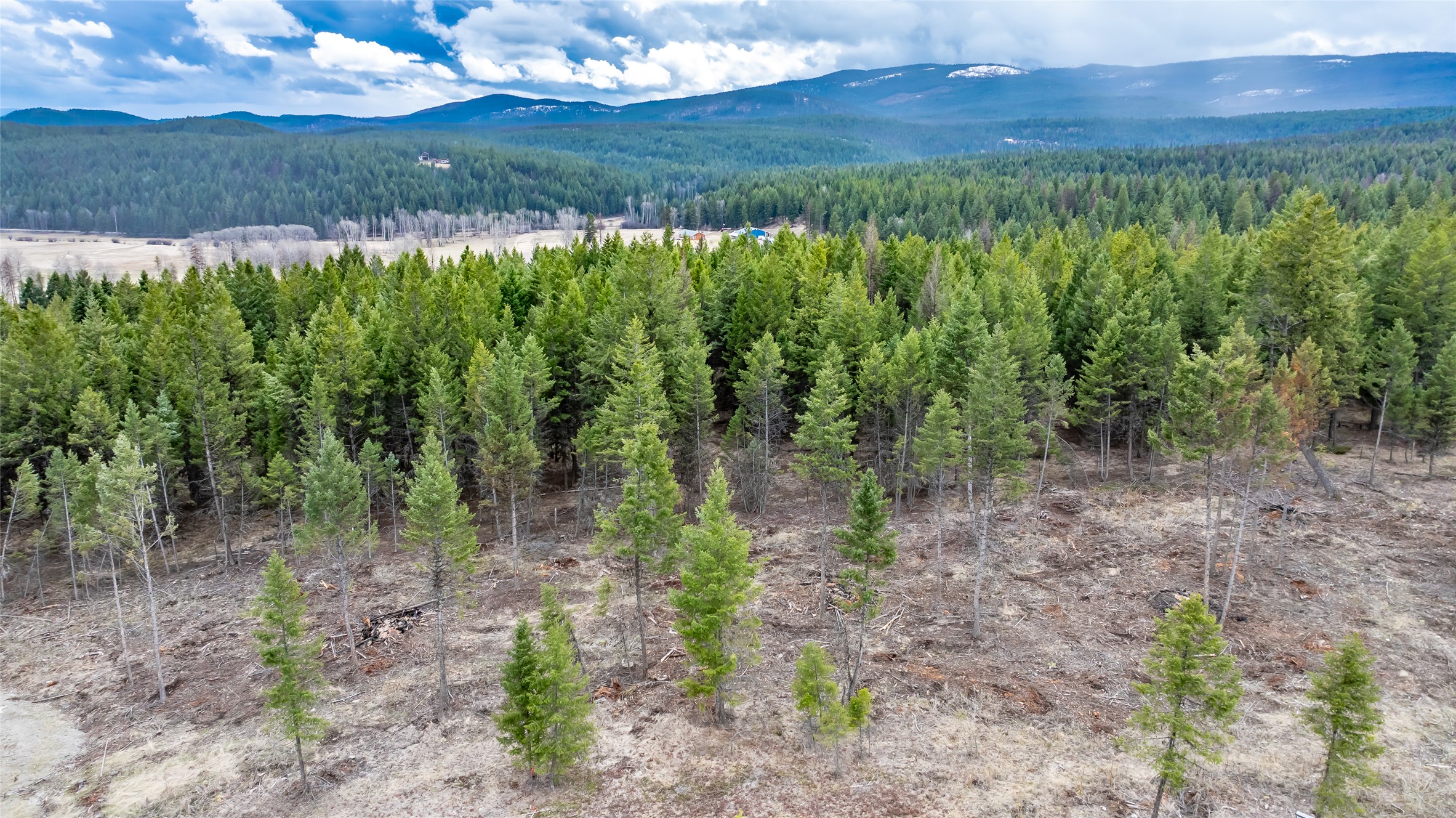 Nhn Lot #33 Osprey Loop Property Photo 4