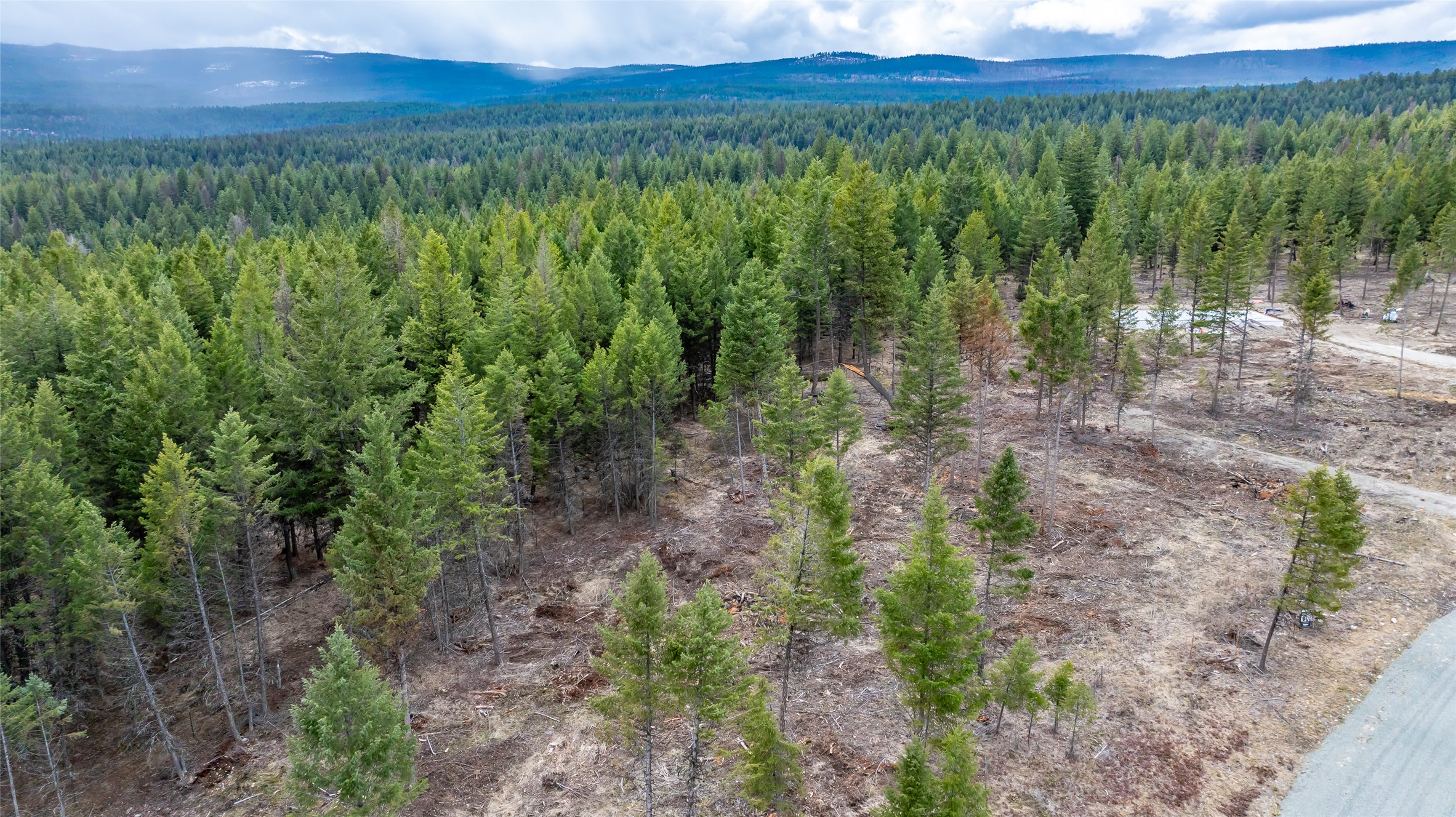 Nhn Lot #33 Osprey Loop Property Photo 5