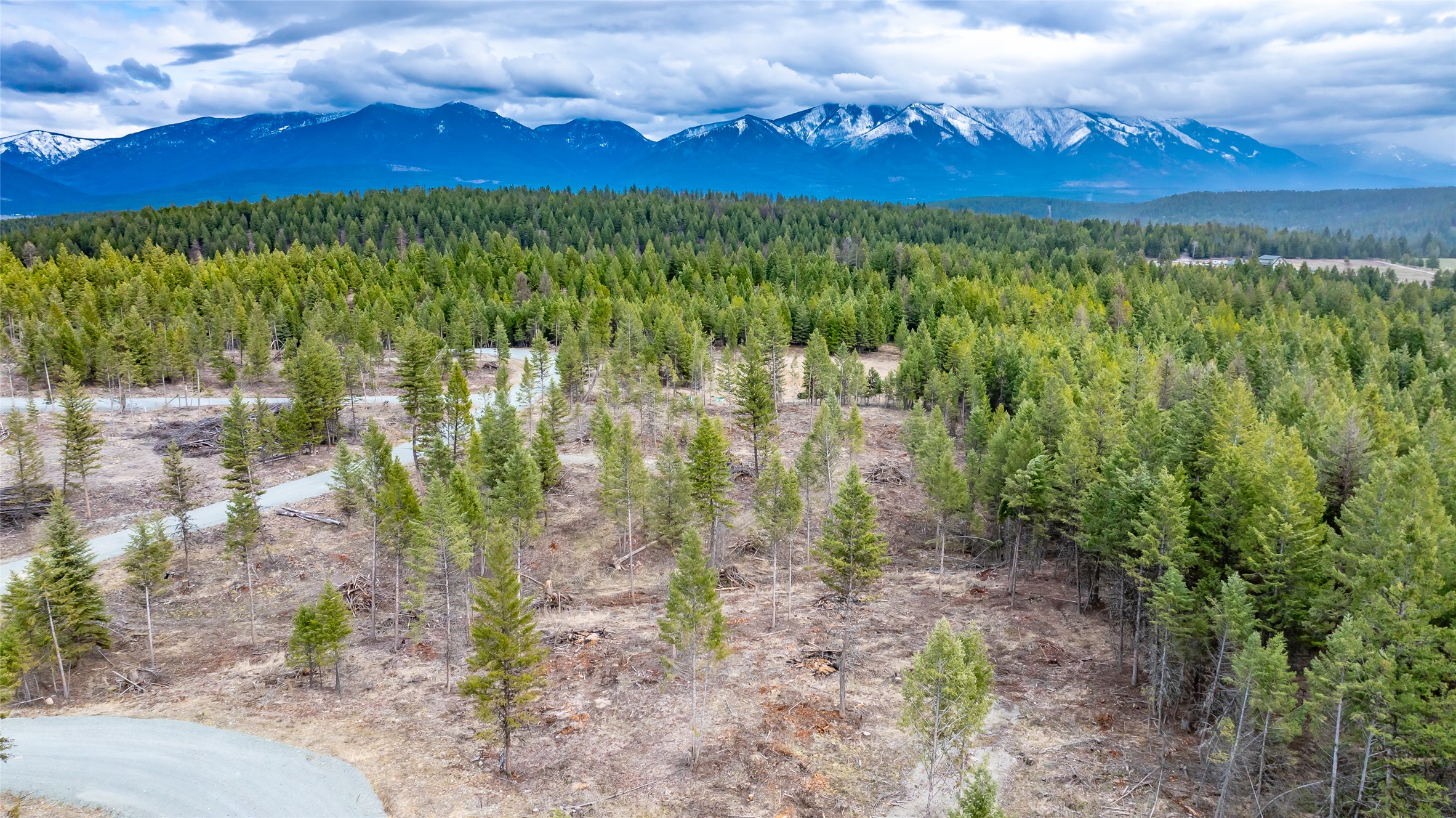 Nhn Lot #33 Osprey Loop Property Photo 9