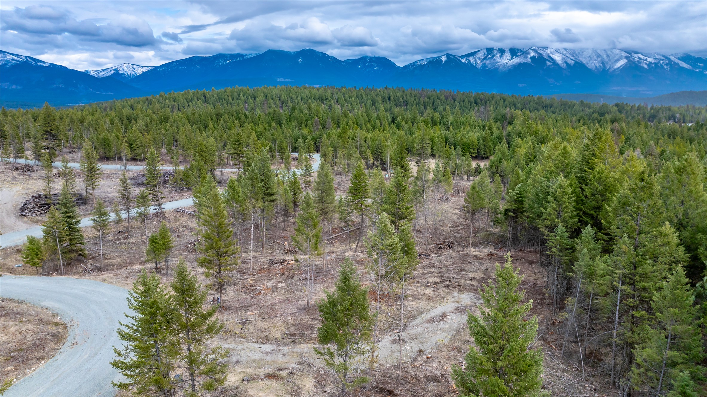 Nhn Lot #33 Osprey Loop Property Photo 12