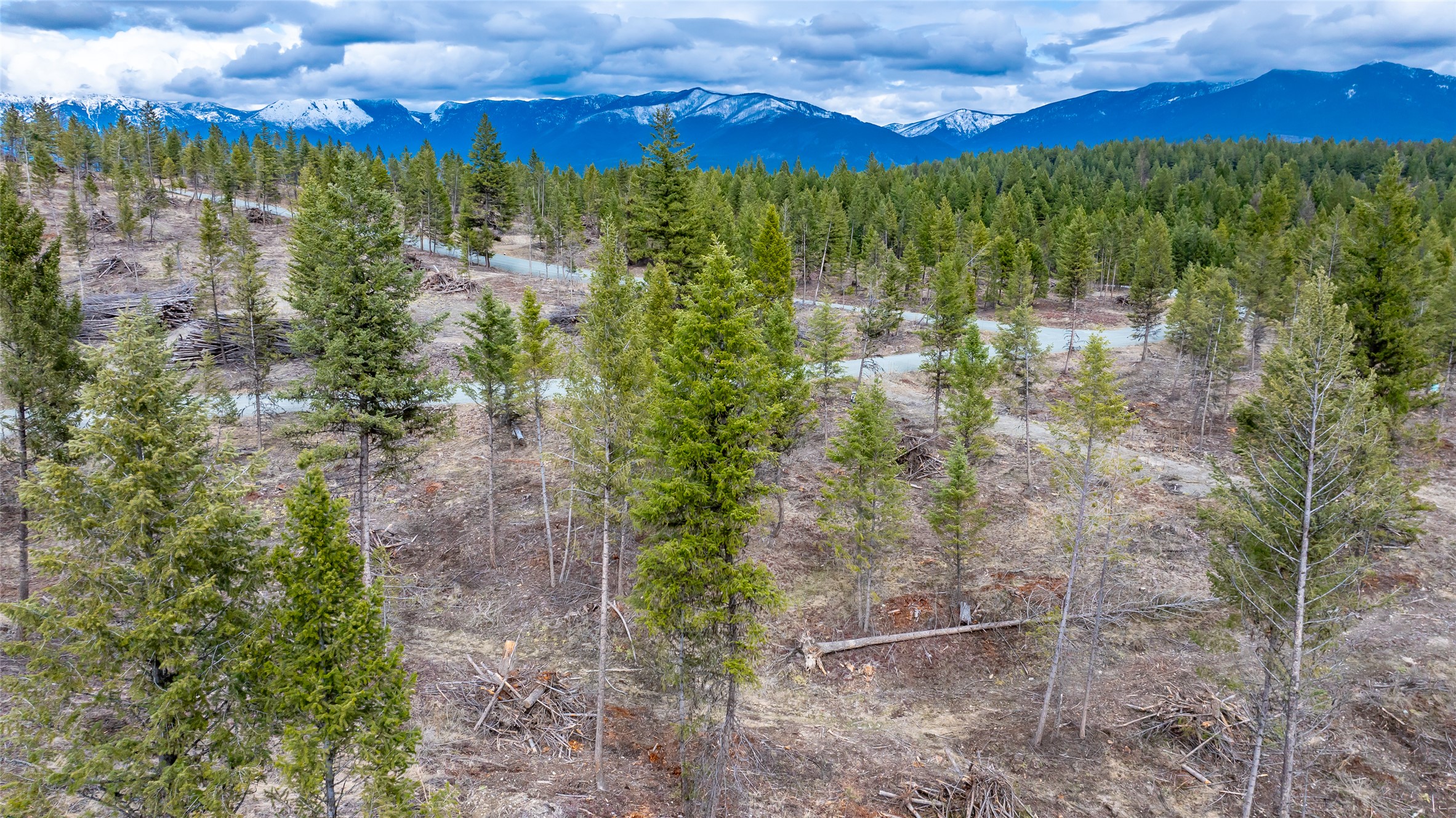 Nhn Lot #33 Osprey Loop Property Photo 14