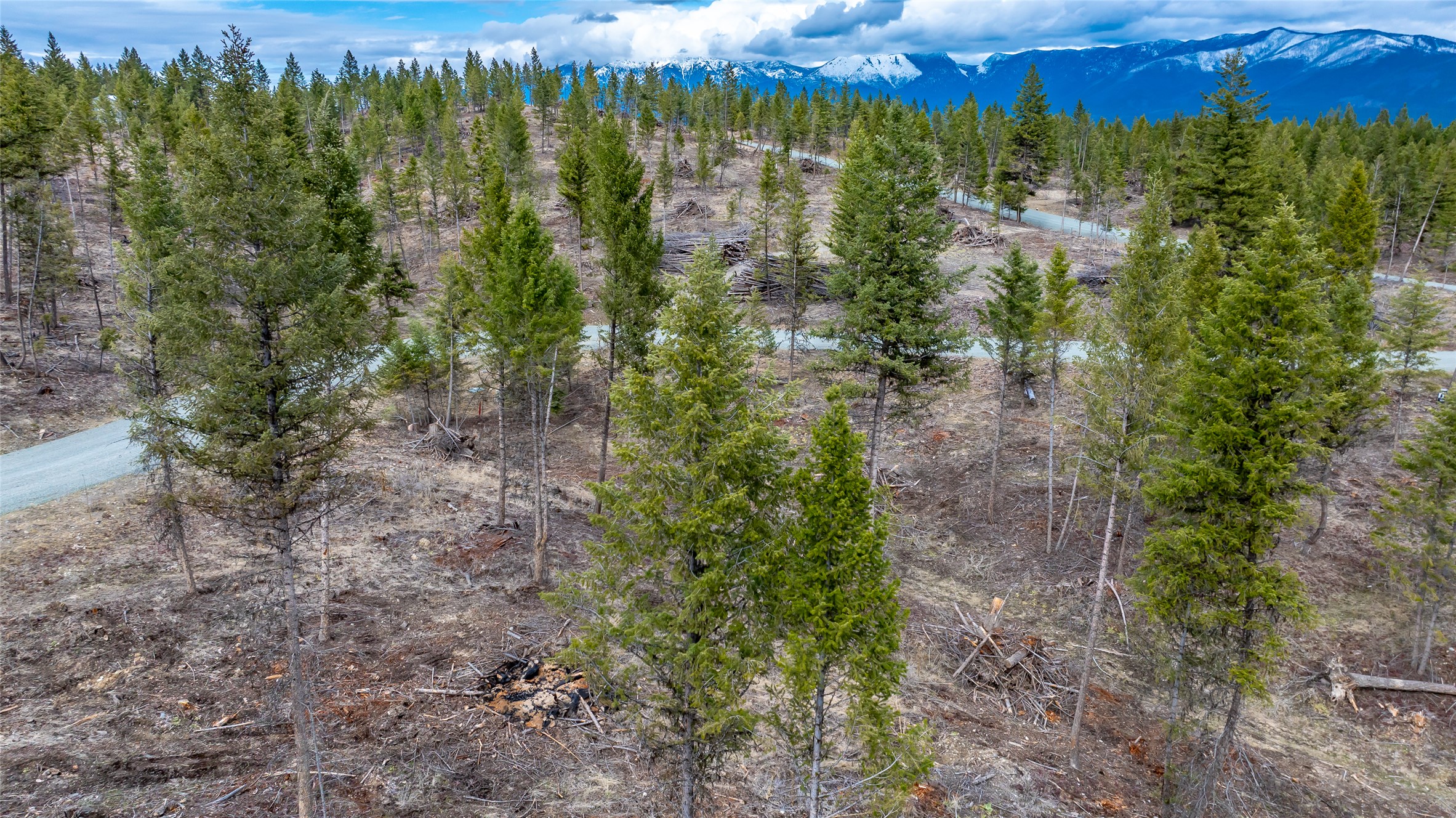 Nhn Lot #33 Osprey Loop Property Photo 15