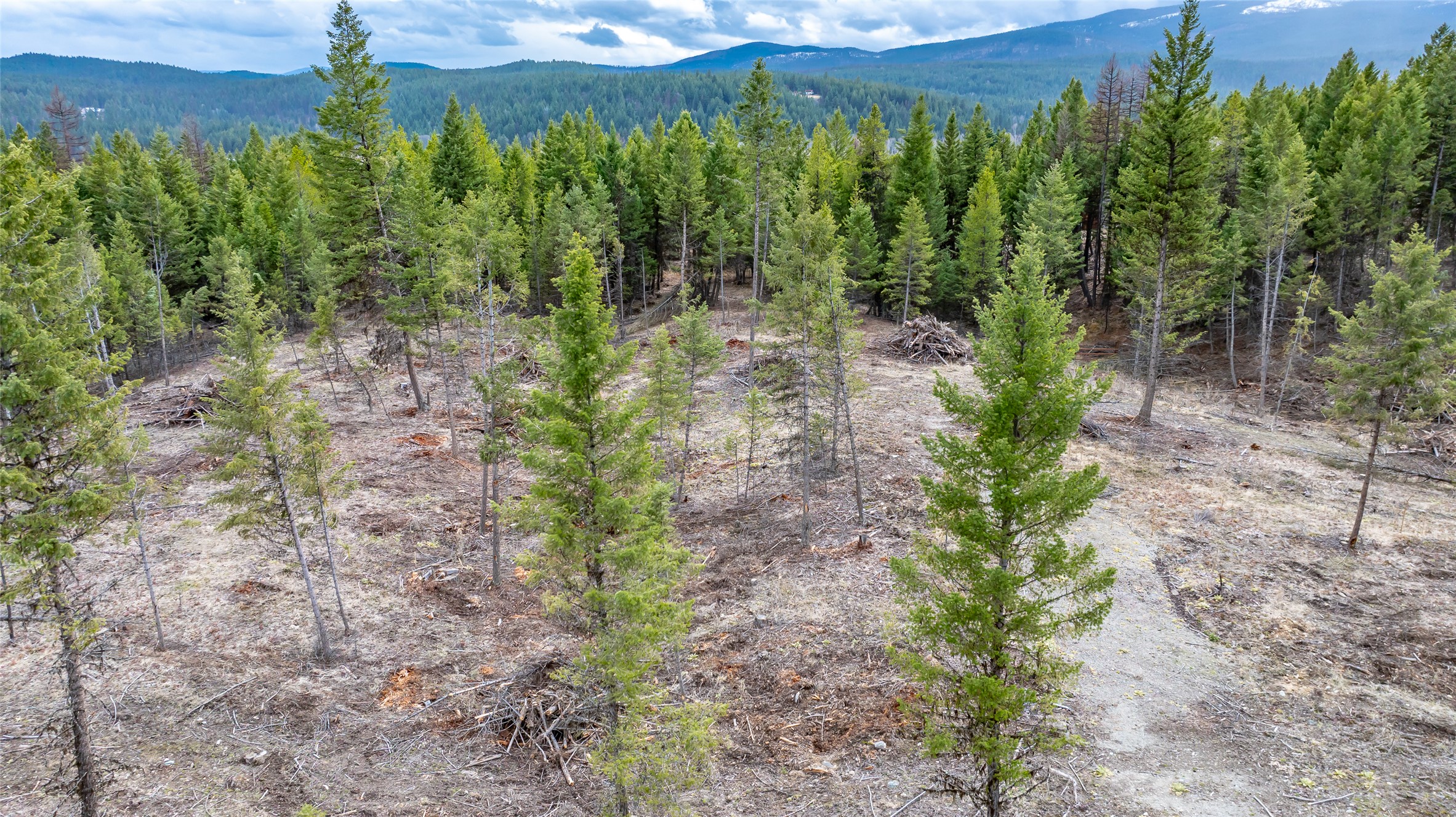 Nhn Lot #33 Osprey Loop Property Photo 17