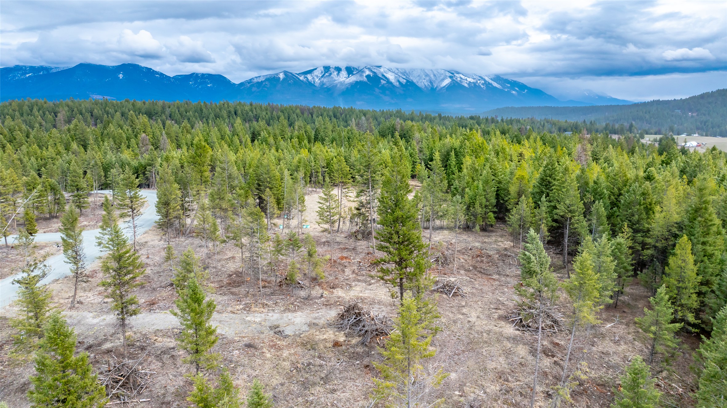 Nhn Lot #33 Osprey Loop Property Photo 19