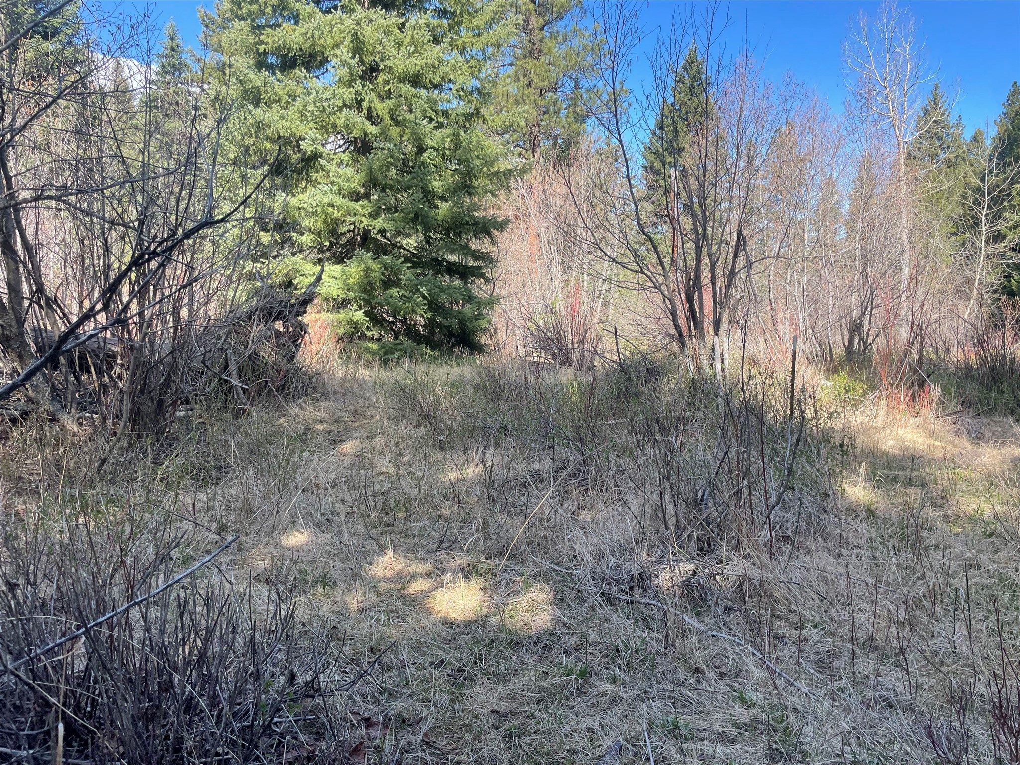 617 Mcclellan Creek Road Property Photo 70