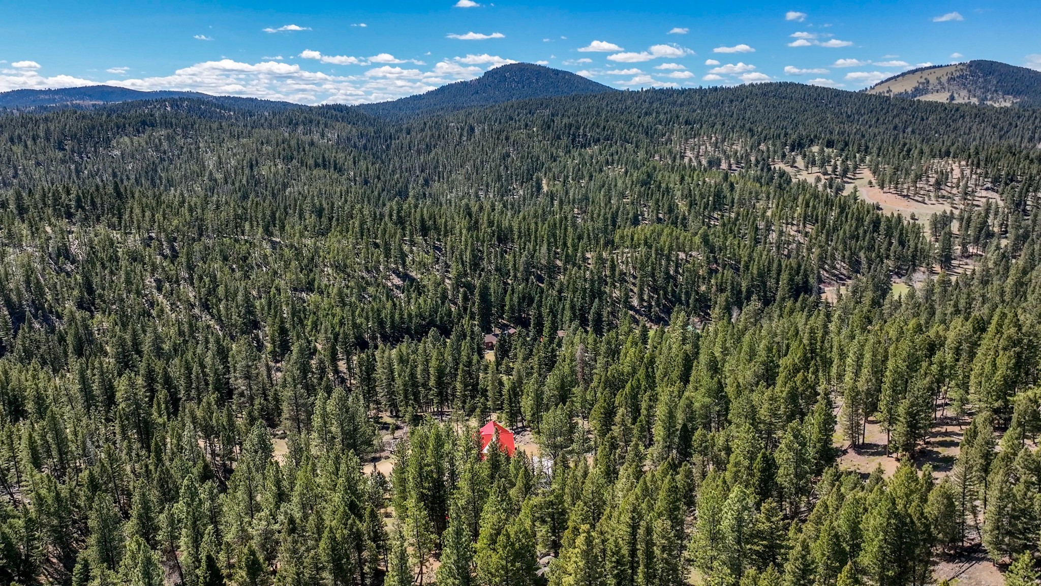 617 Mcclellan Creek Road Property Photo 86