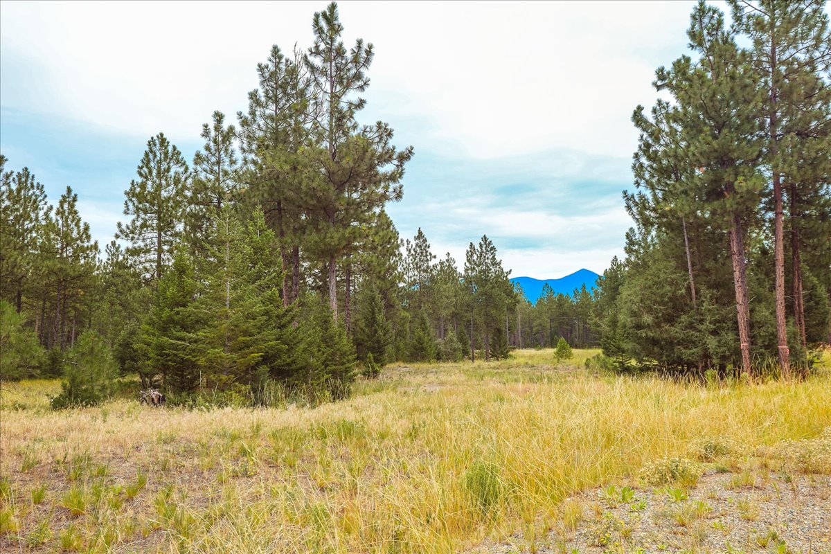 53 Mccracken Trail Property Photo 50