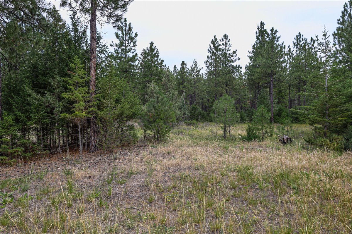 53 Mccracken Trail Property Photo 51