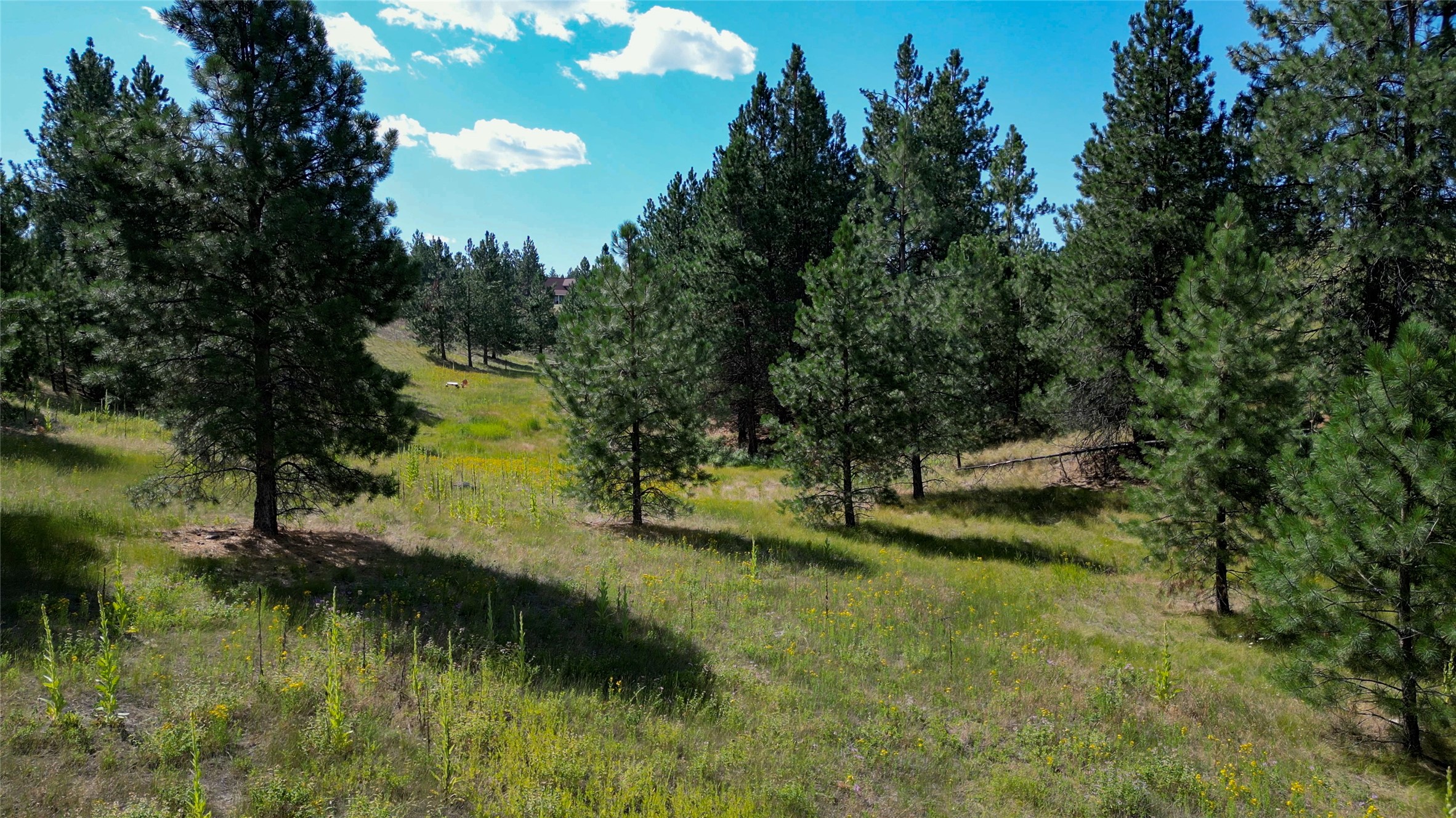Nhn Prairie Road Property Photo 21