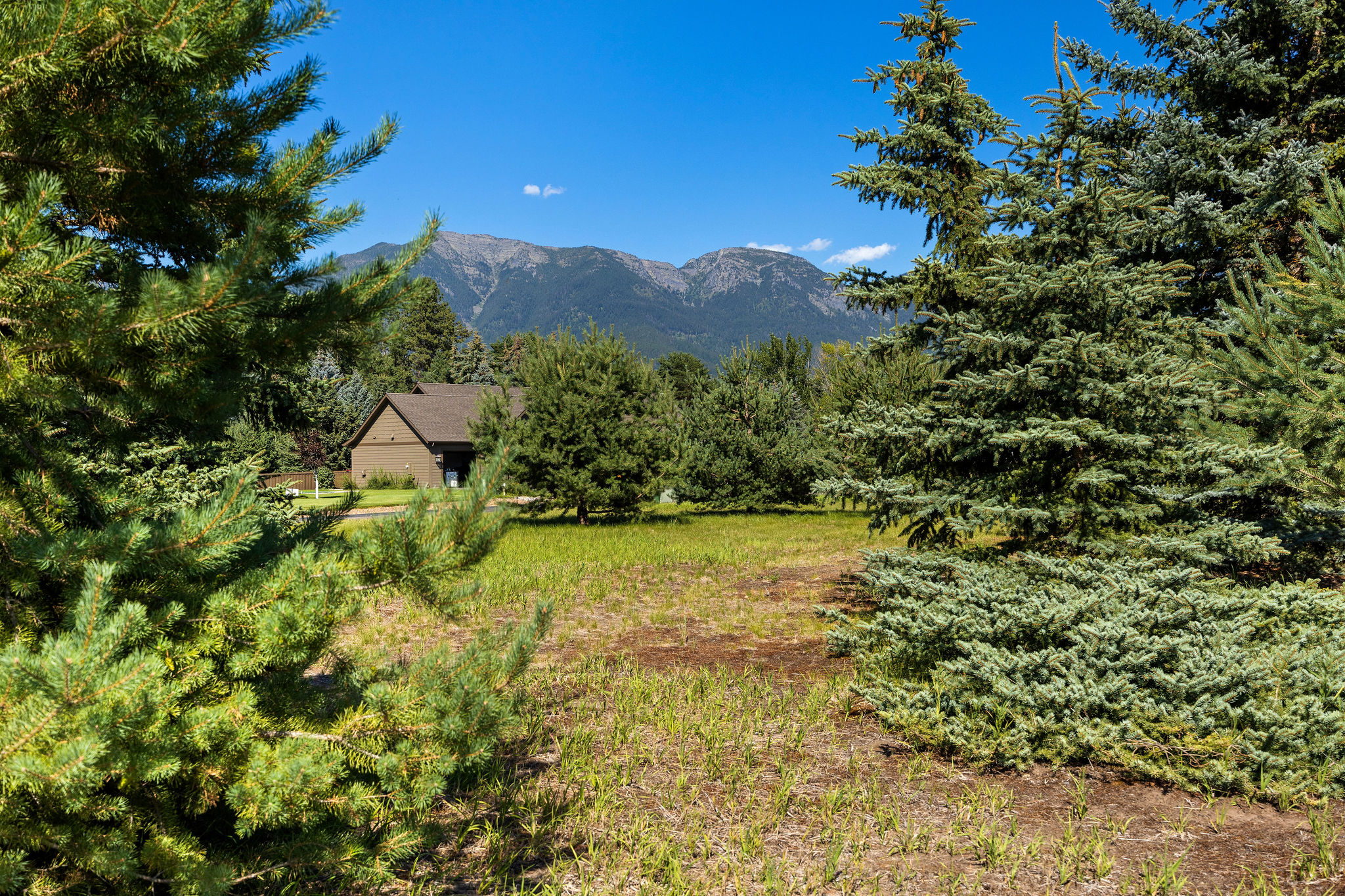 322 Spruce Meadows Loop Property Photo 5