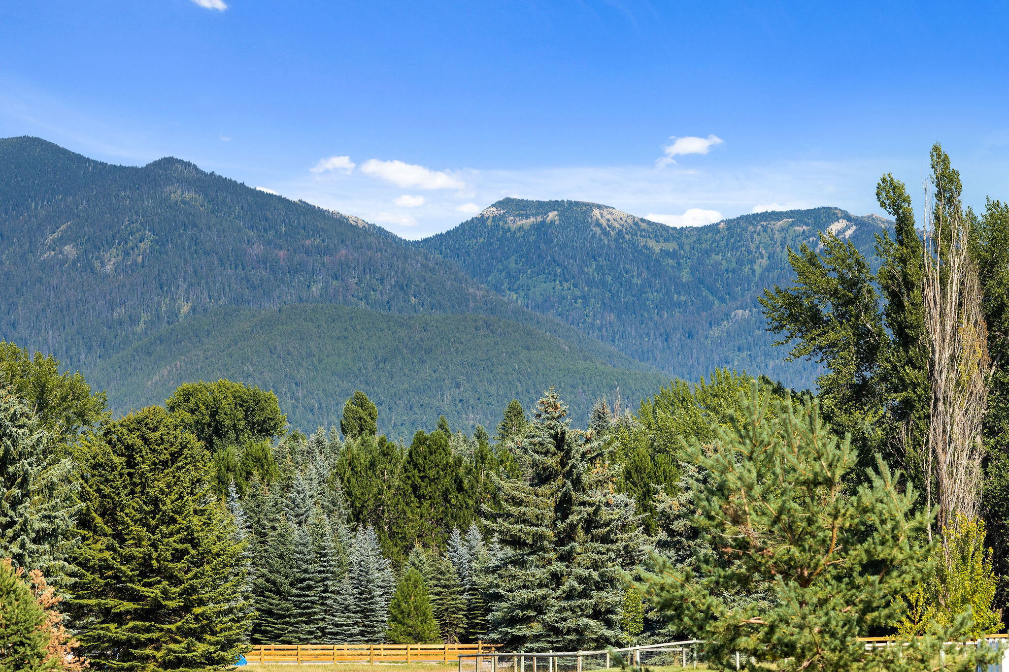 322 Spruce Meadows Loop Property Photo 10