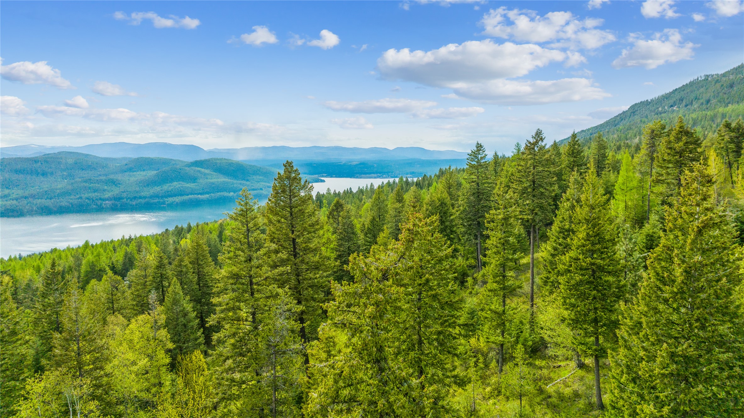 201 Whitefish Lookout Road Property Photo 6