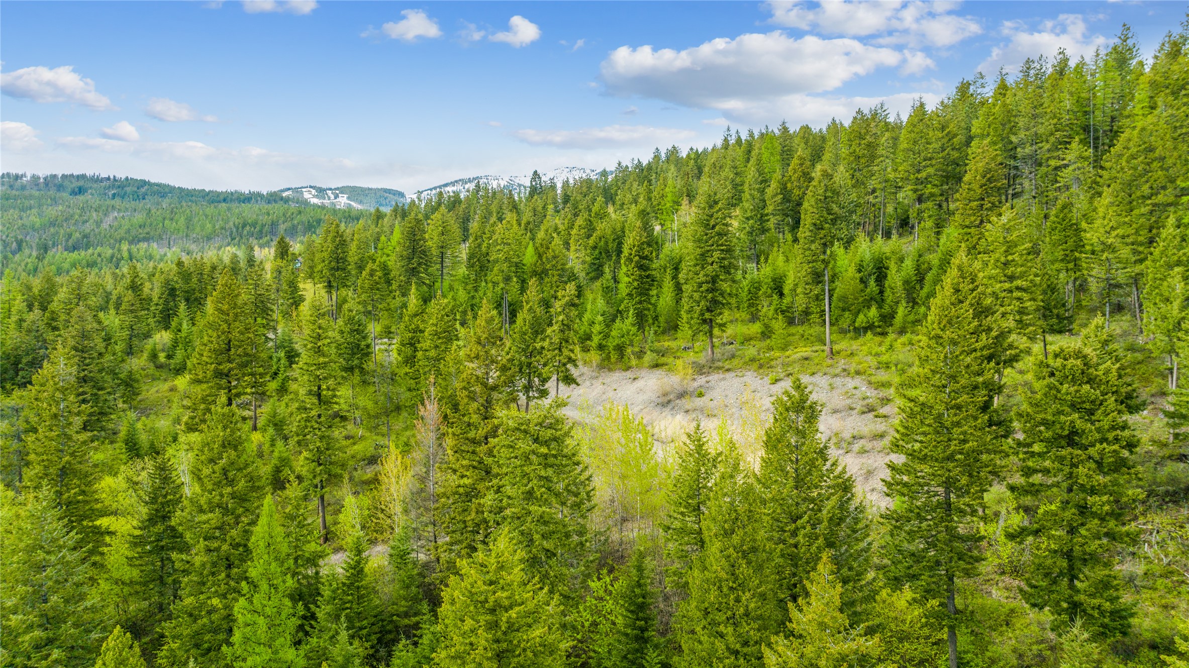 201 Whitefish Lookout Road Property Photo 9