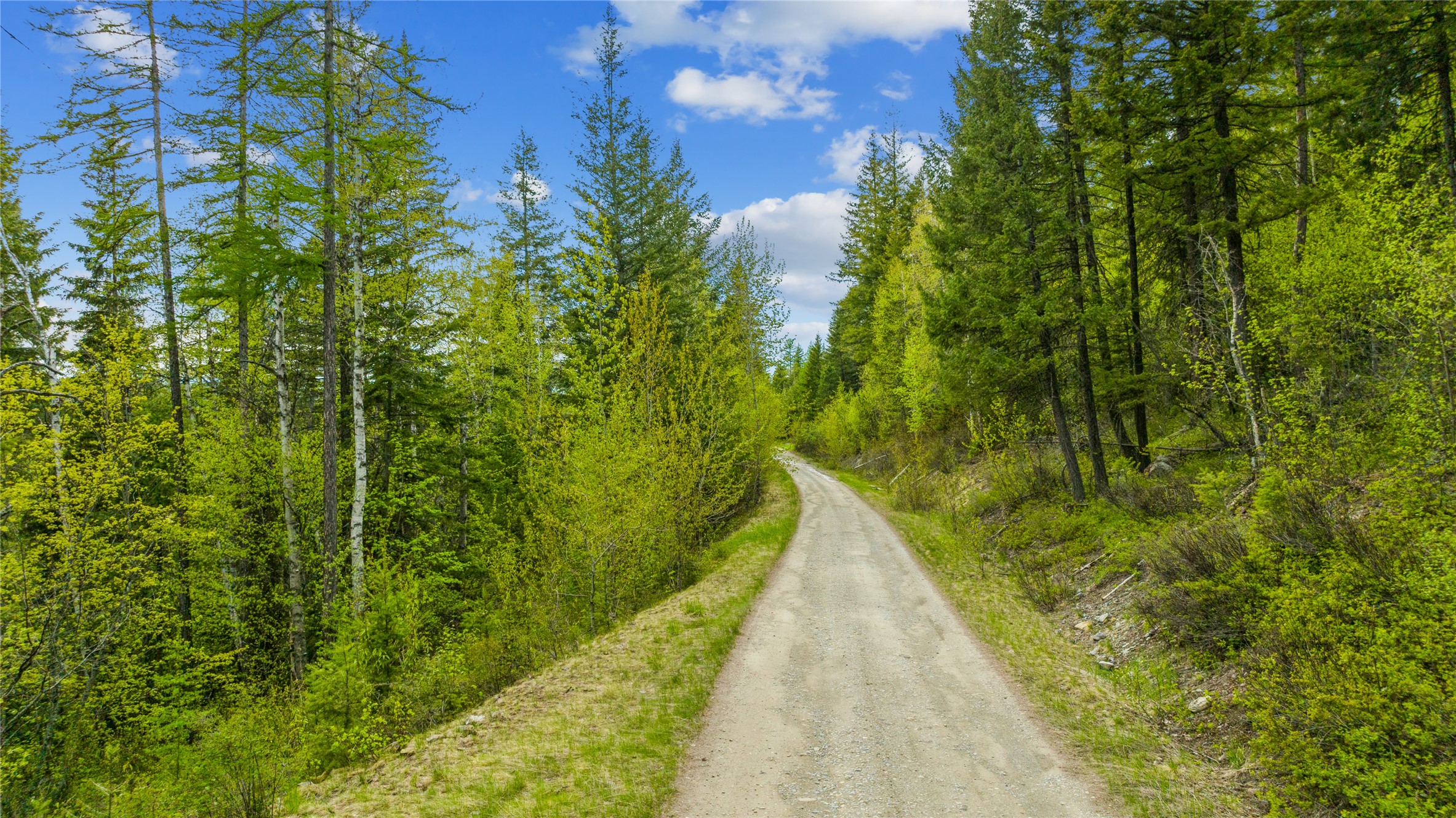 201 Whitefish Lookout Road Property Photo 12