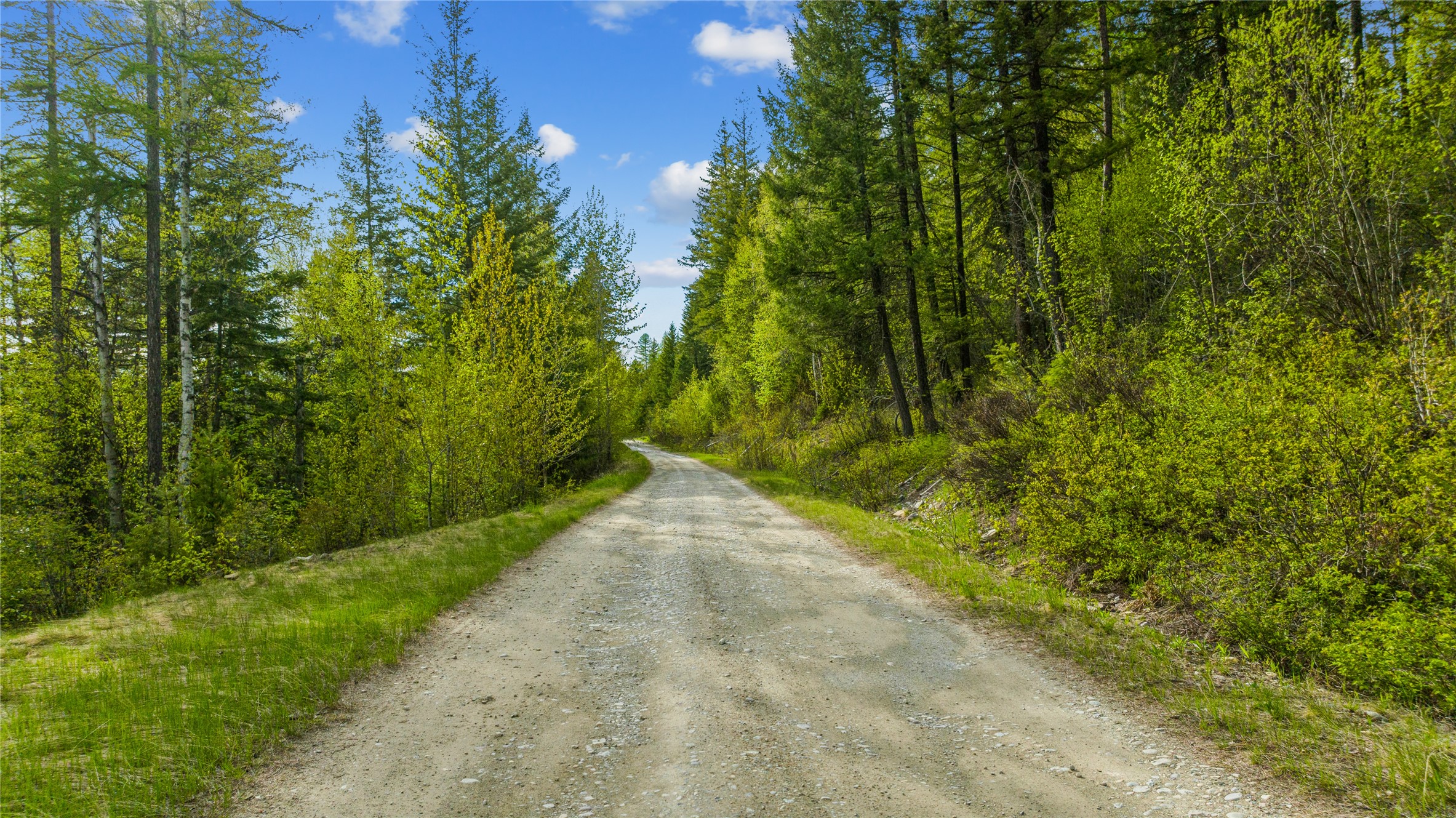 201 Whitefish Lookout Road Property Photo 13