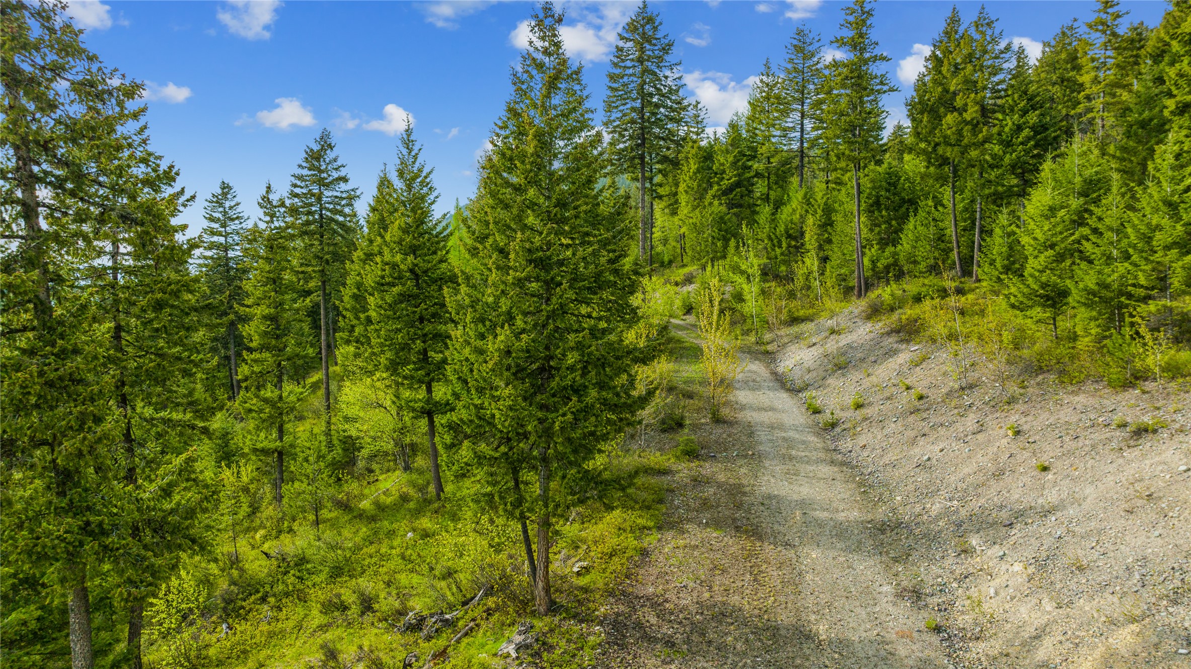 201 Whitefish Lookout Road Property Photo 14