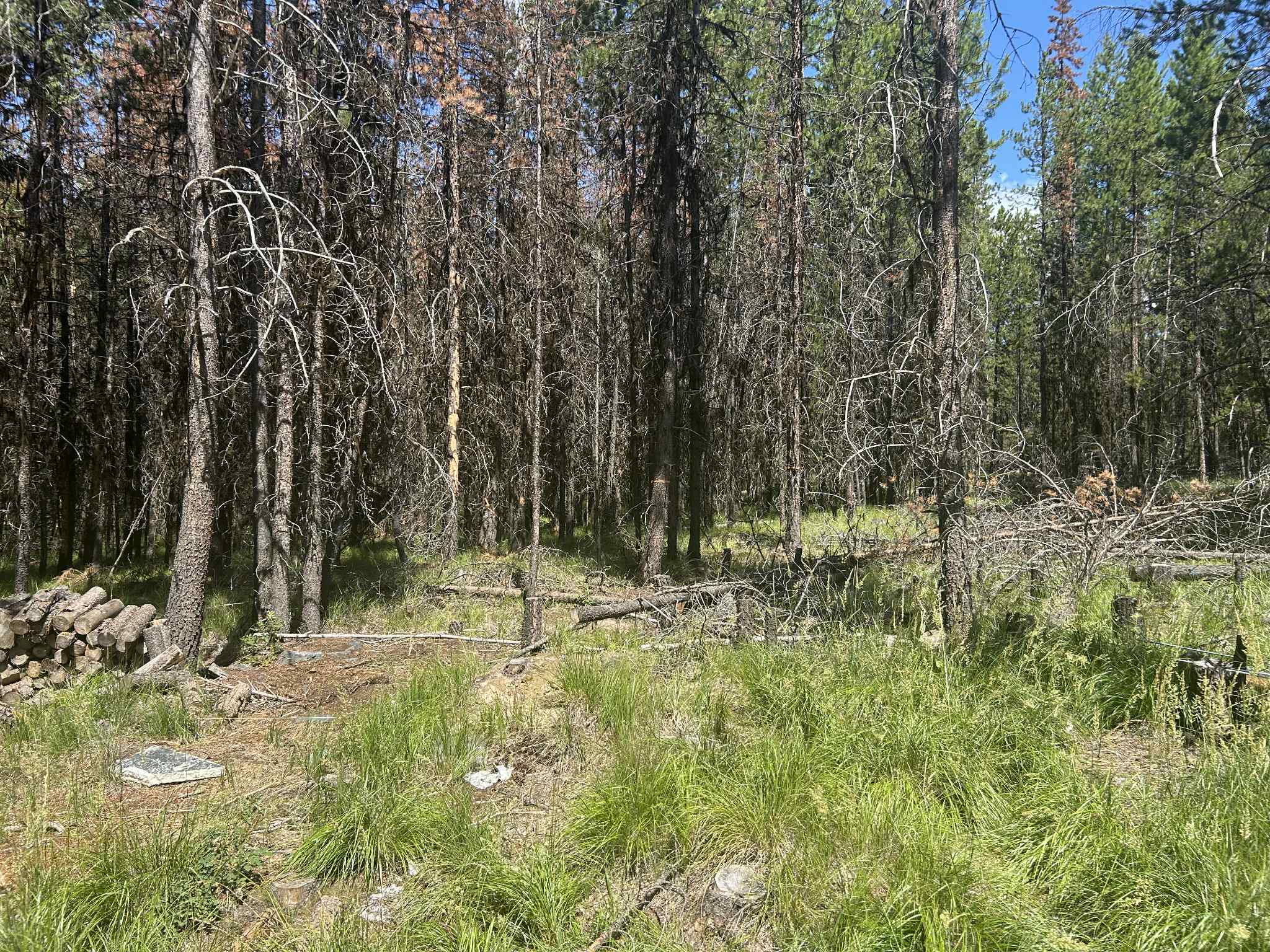 314 New Timber Ridge Trail Property Photo 1