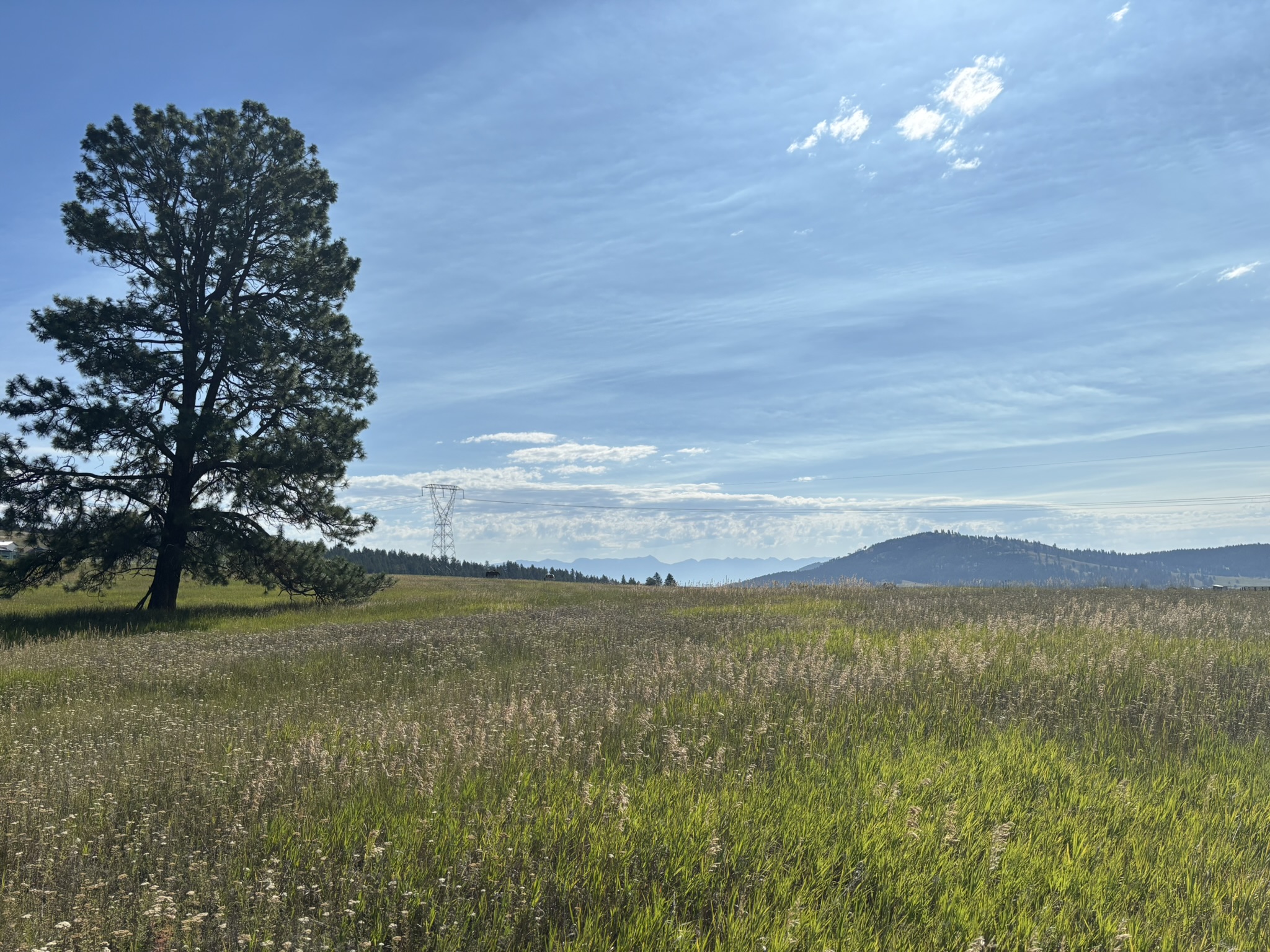 711 Morning View Drive Property Photo 1