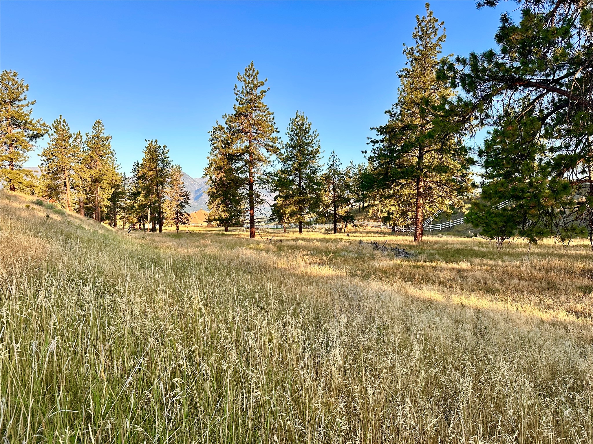 Lot 19 Jenne Lane Property Photo 6
