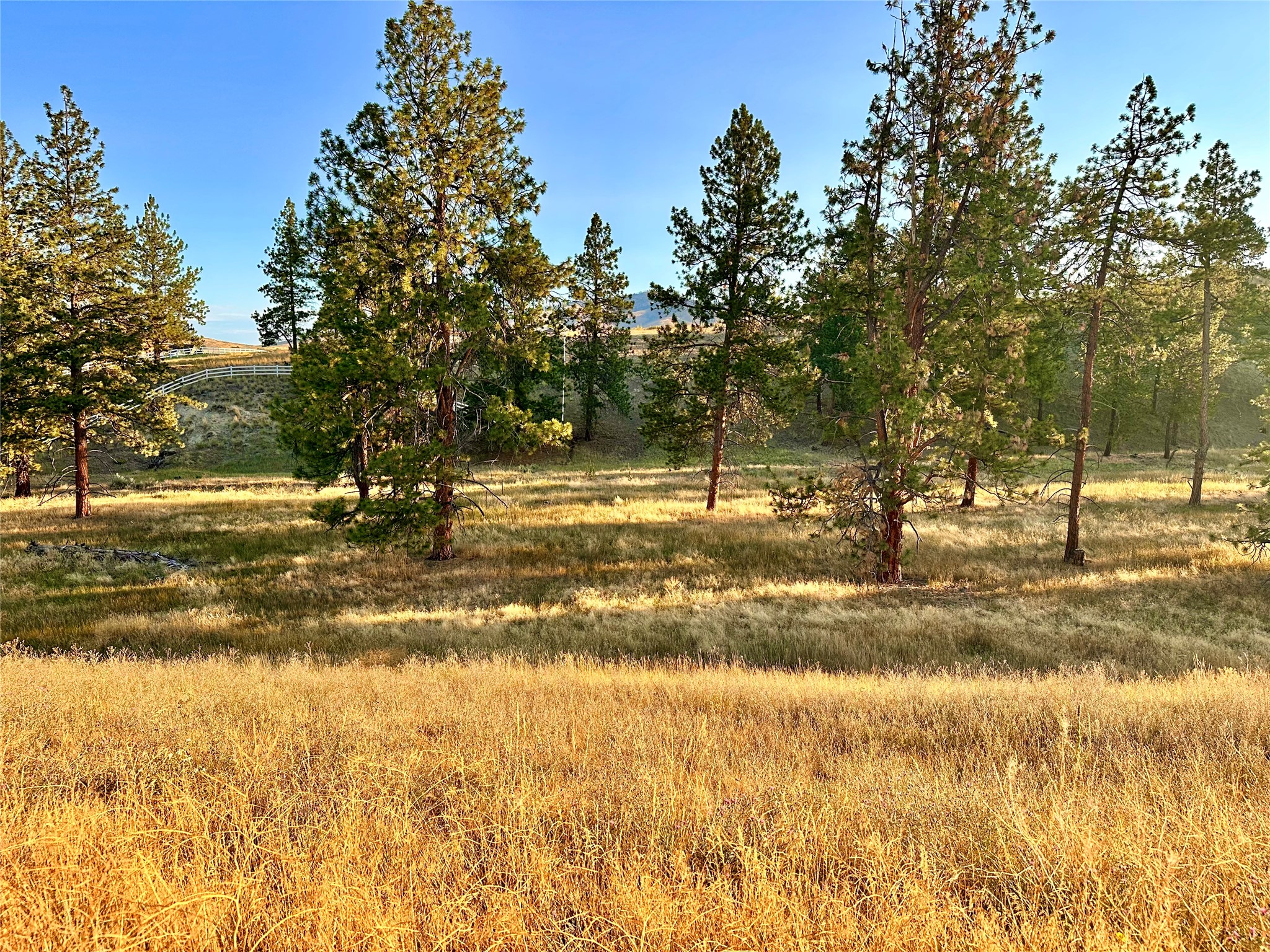 Lot 19 Jenne Lane Property Photo 7