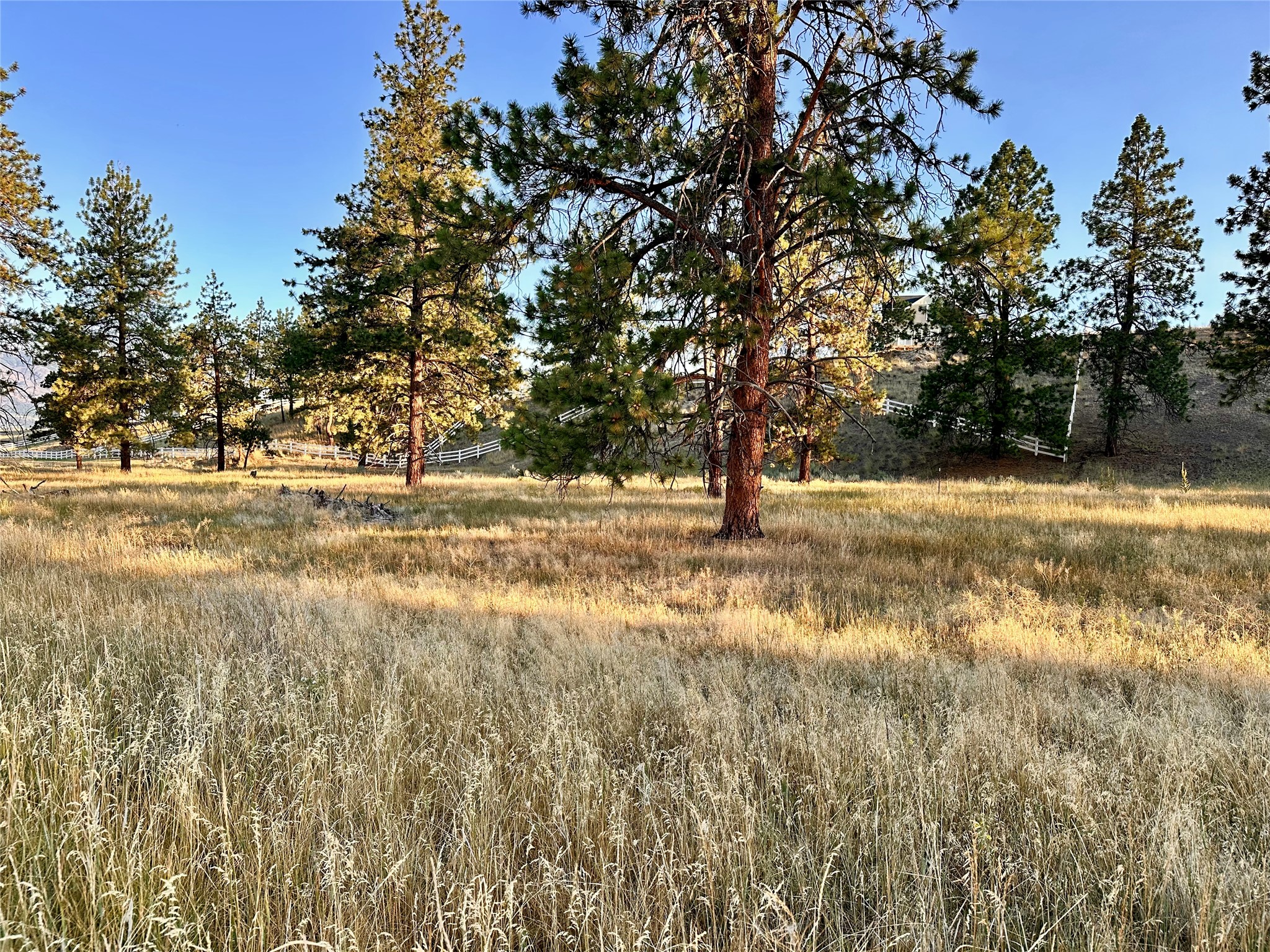 Lot 19 Jenne Lane Property Photo 8