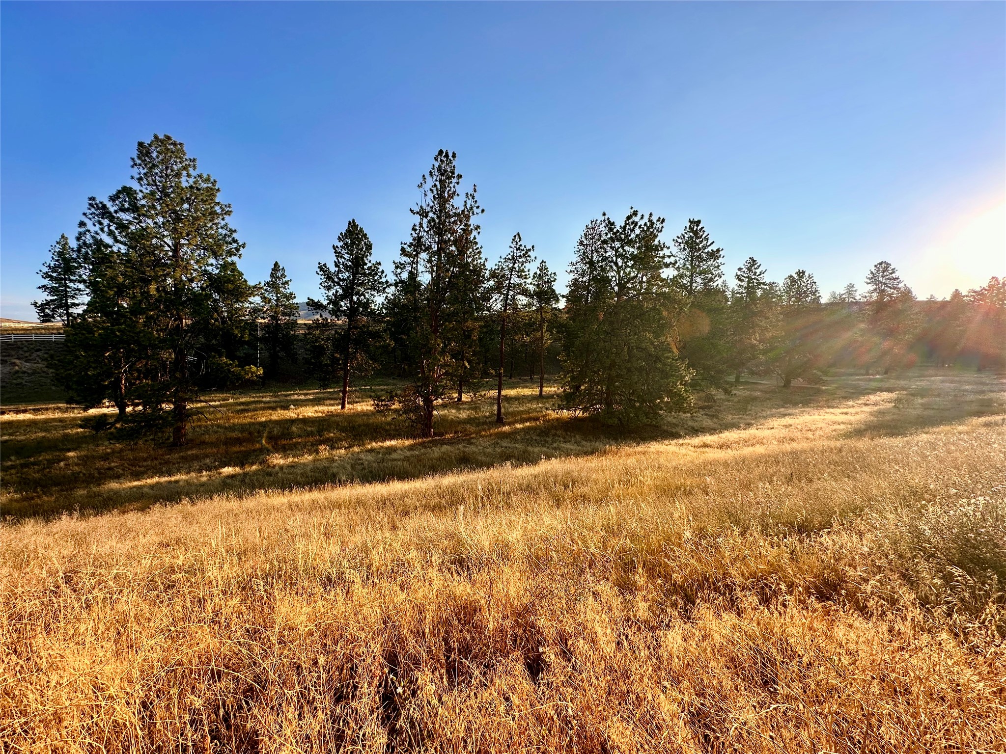 Lot 19 Jenne Lane Property Photo 15