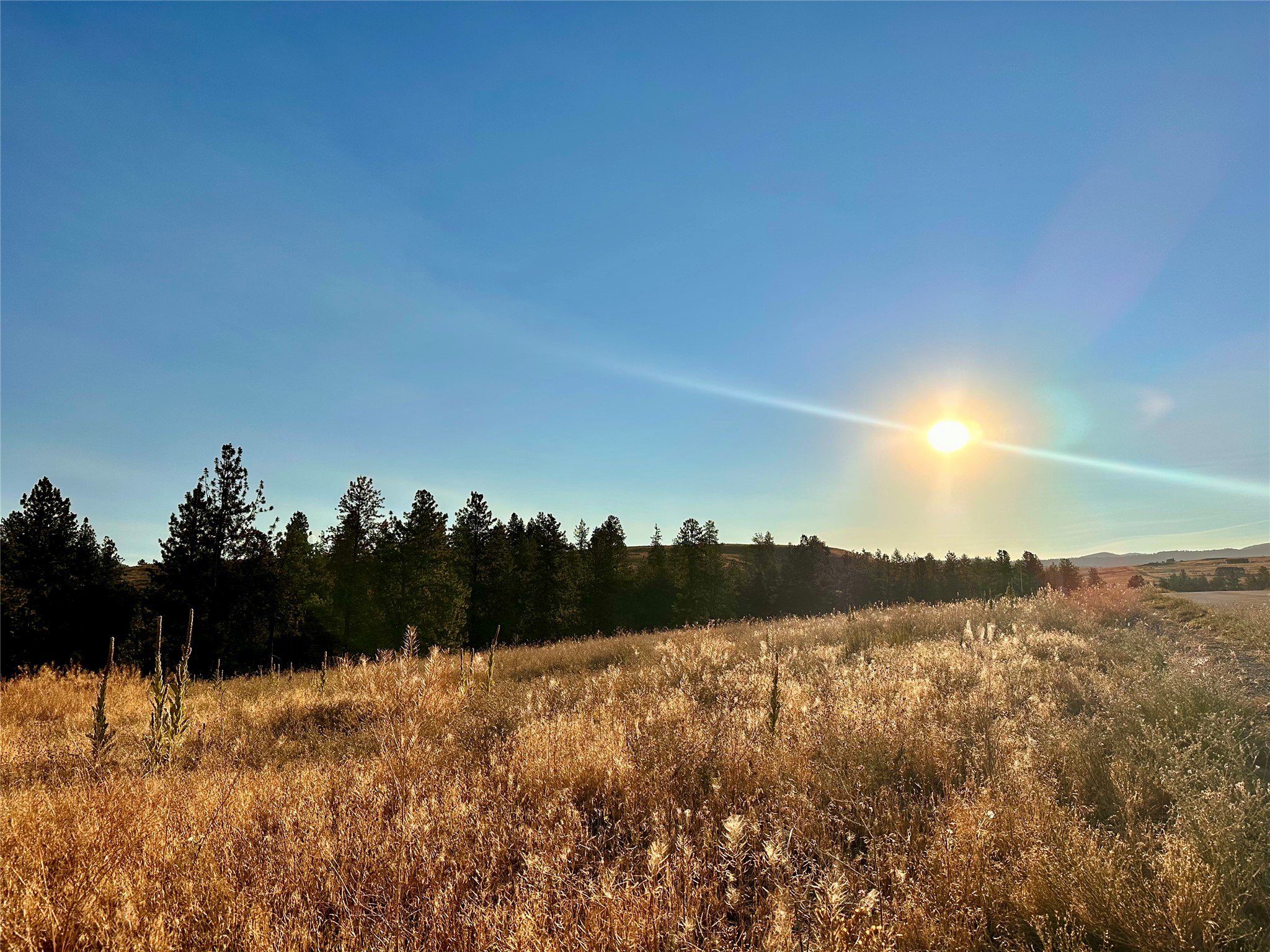 Lot 19 Jenne Lane Property Photo 32