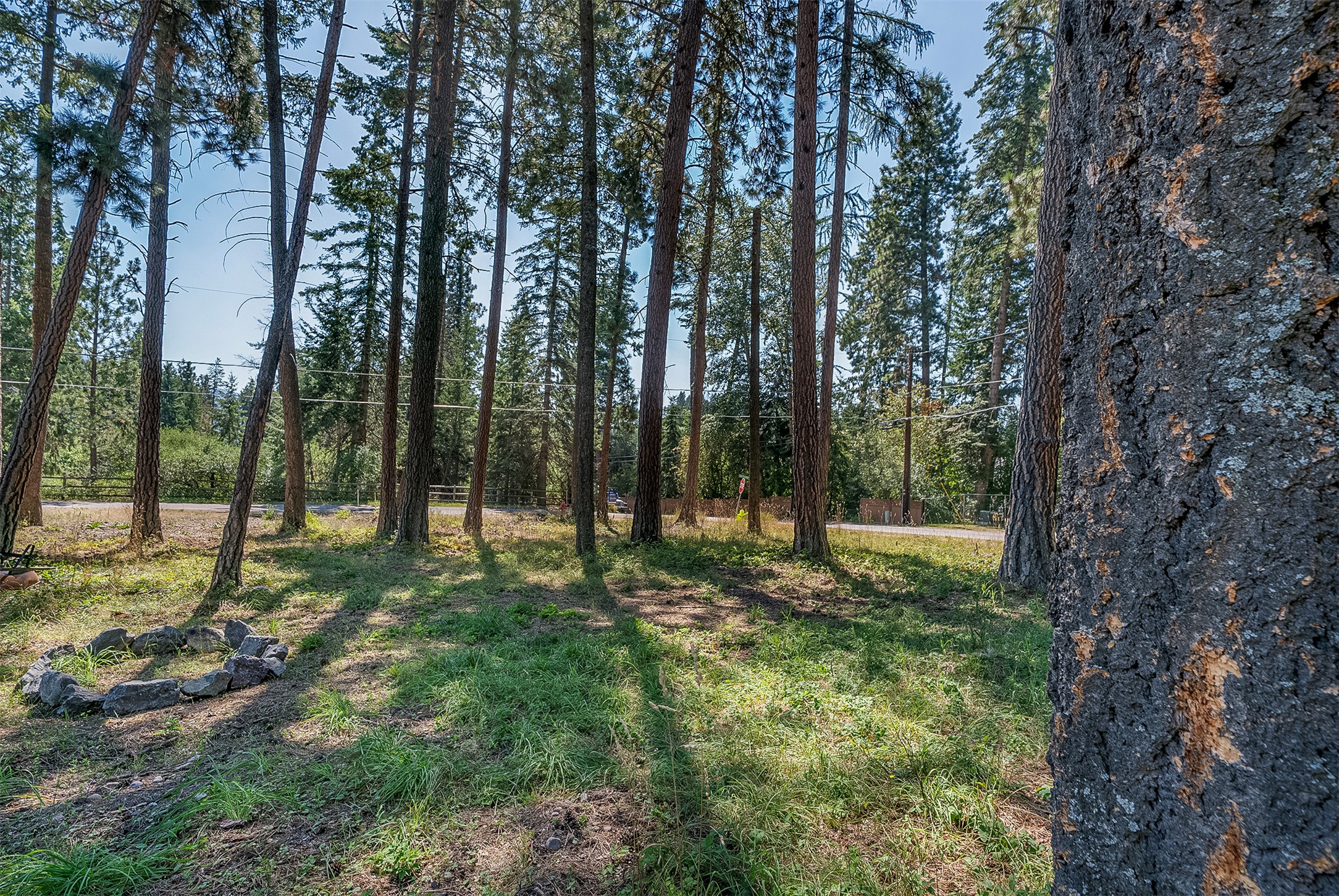 Nhn Yenne Point Road Property Photo 1