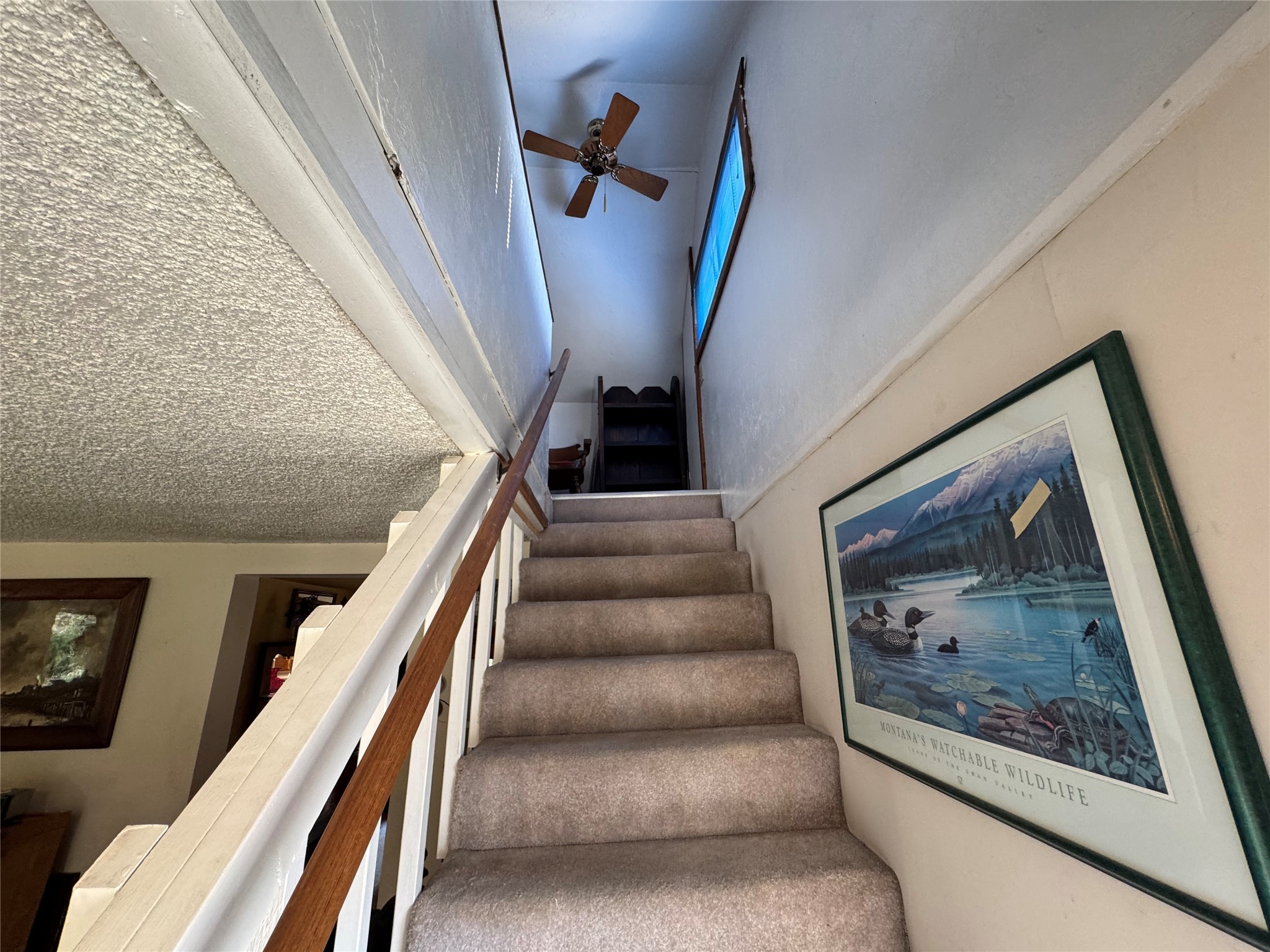 3688 Mt Highway 83 Property Photo 52