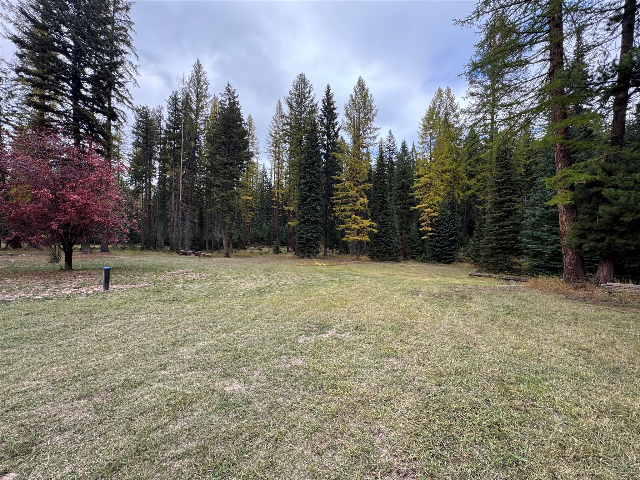 3688 Mt Highway 83 Property Photo 102