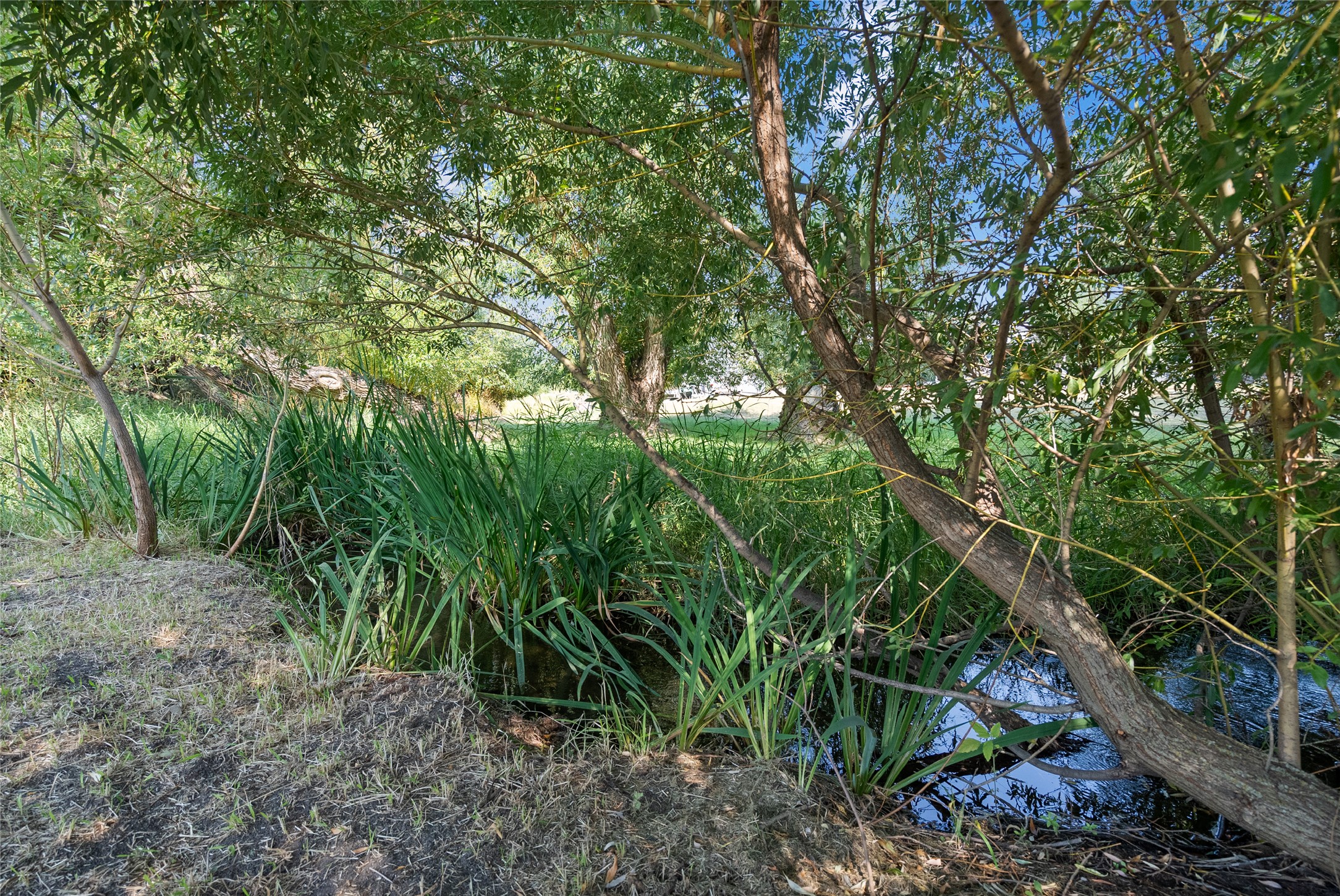 163 Greenbriar Drive Property Photo 20