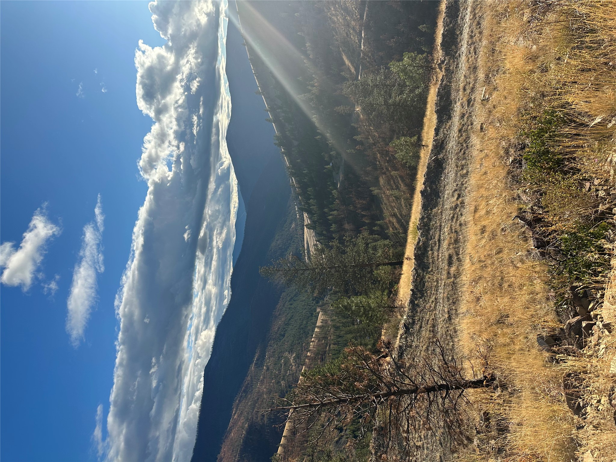 TBD Mclaughlin Creek Road